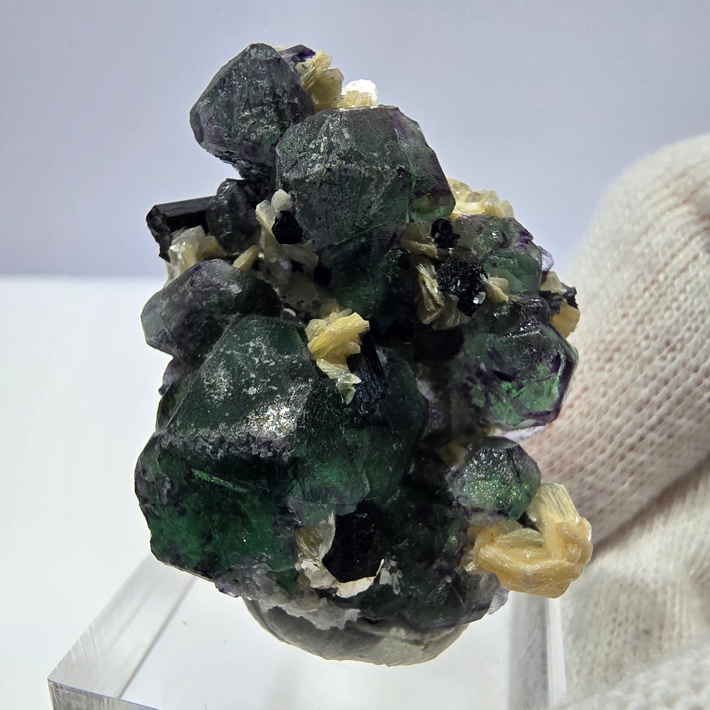 Cube de fluorite fantôme hexagonal, muscovite, tourmaline Schörl Erongo, Namibie 41*28*21mm