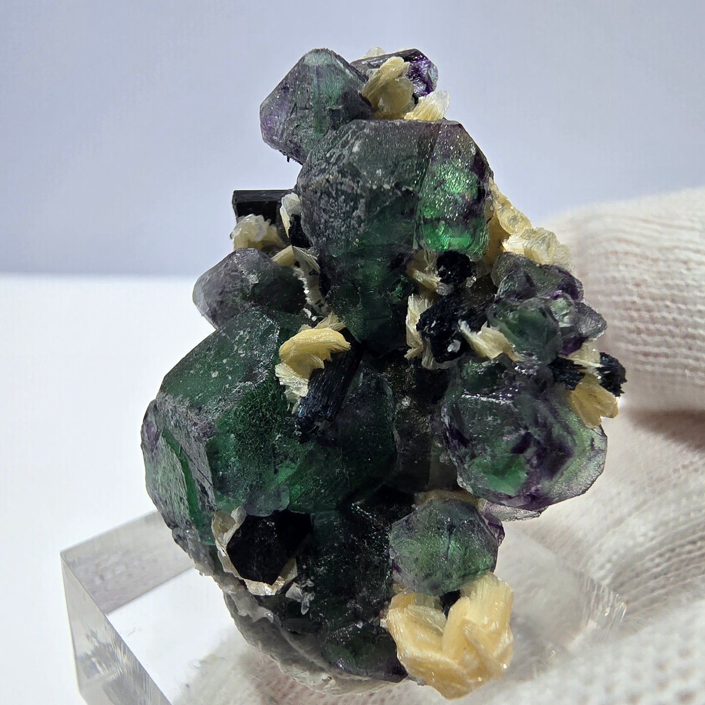 Cube de fluorite fantôme hexagonal, muscovite, tourmaline Schörl Erongo, Namibie 41*28*21mm