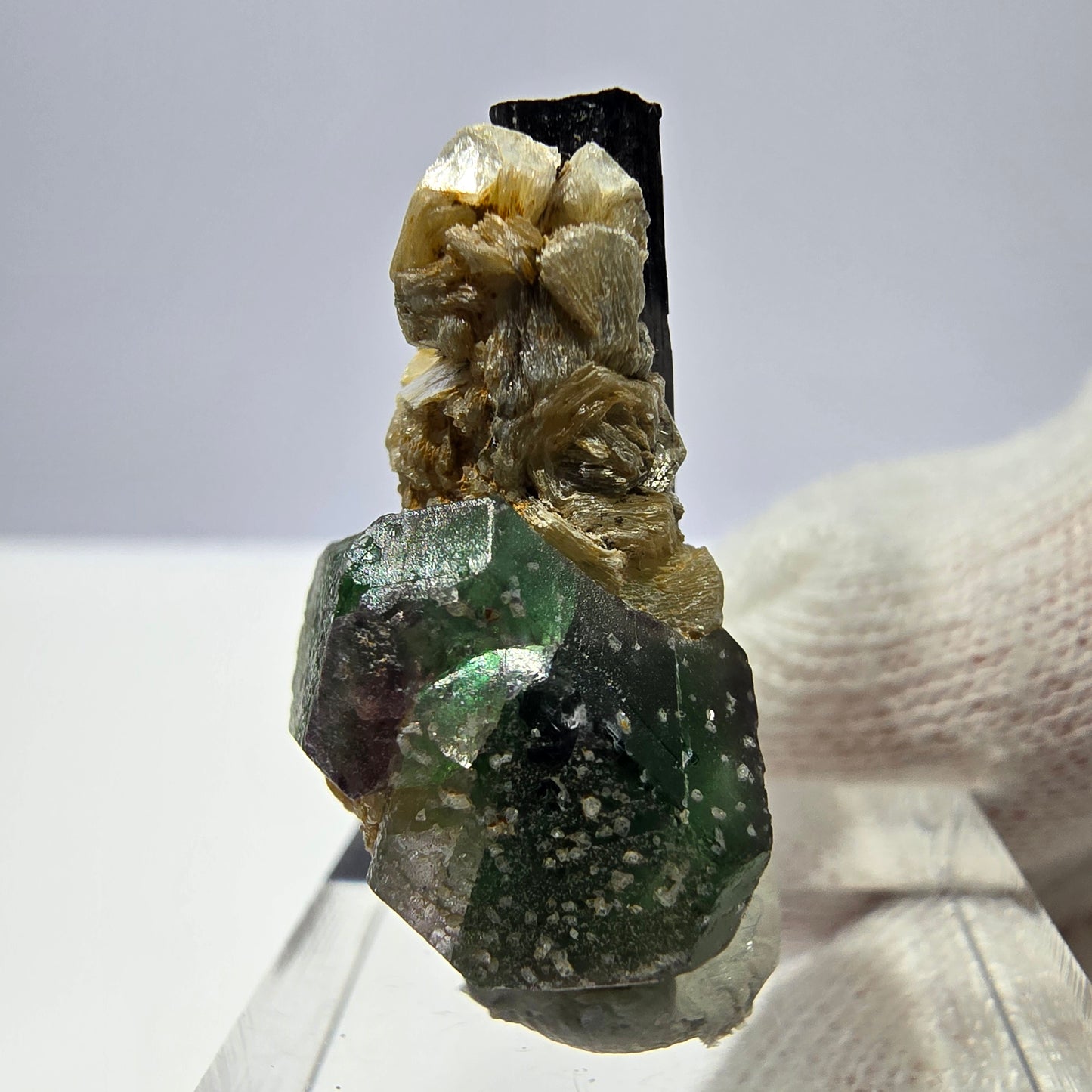 Cube de fluorite fantôme, muscovite et tourmaline Schorl, spécimen d'Erongo, Namibie, 29 x 19 x 17 mm