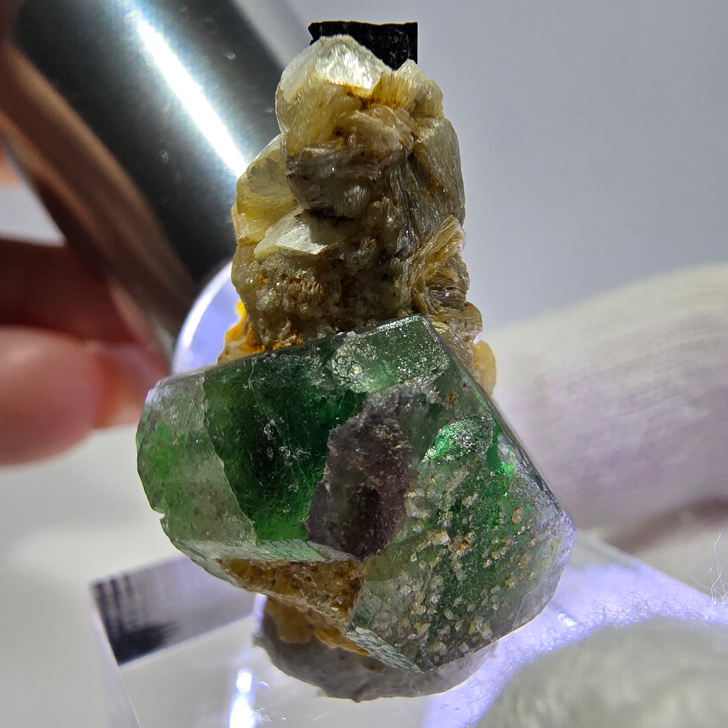 Cube de fluorite fantôme, muscovite et tourmaline Schorl, spécimen d'Erongo, Namibie, 29 x 19 x 17 mm