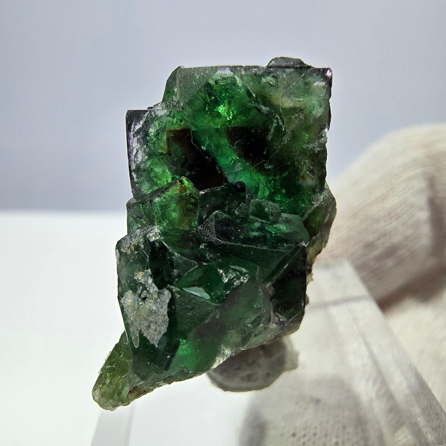 Cube de fluorite fantôme zonal, tourmaline hyalite muscovite Schörl, Erongo, Namibie 24 x 22 x 11 mm