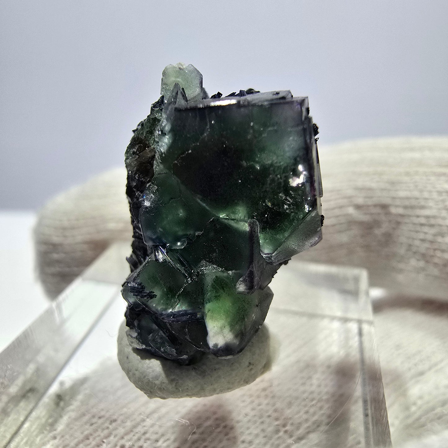 Cube de fluorite fantôme zonal, tourmaline muscovite Schörl hyalite Erongo, Namibie 21 x 15 x 15 mm