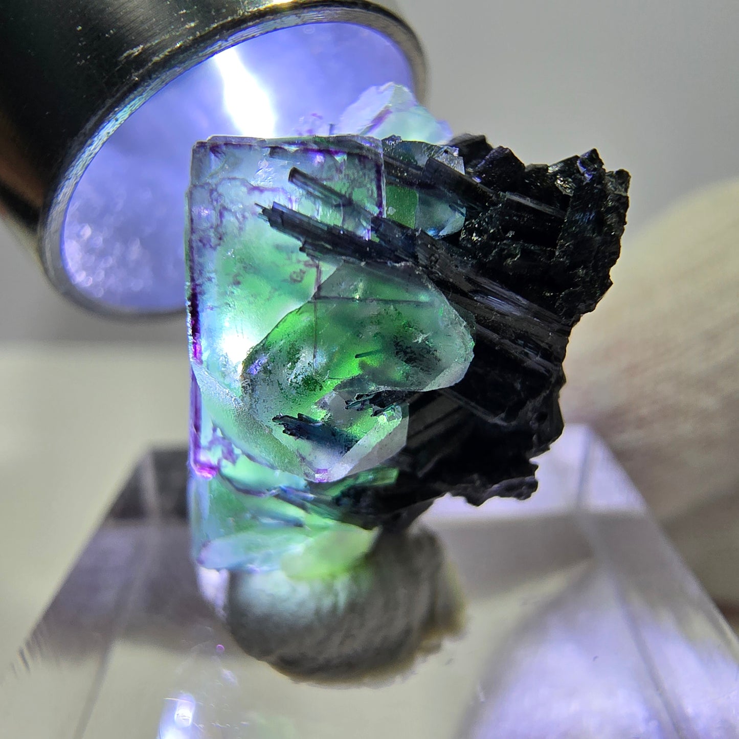 Cube de fluorite fantôme zonal, tourmaline muscovite Schörl hyalite Erongo, Namibie 21 x 15 x 15 mm