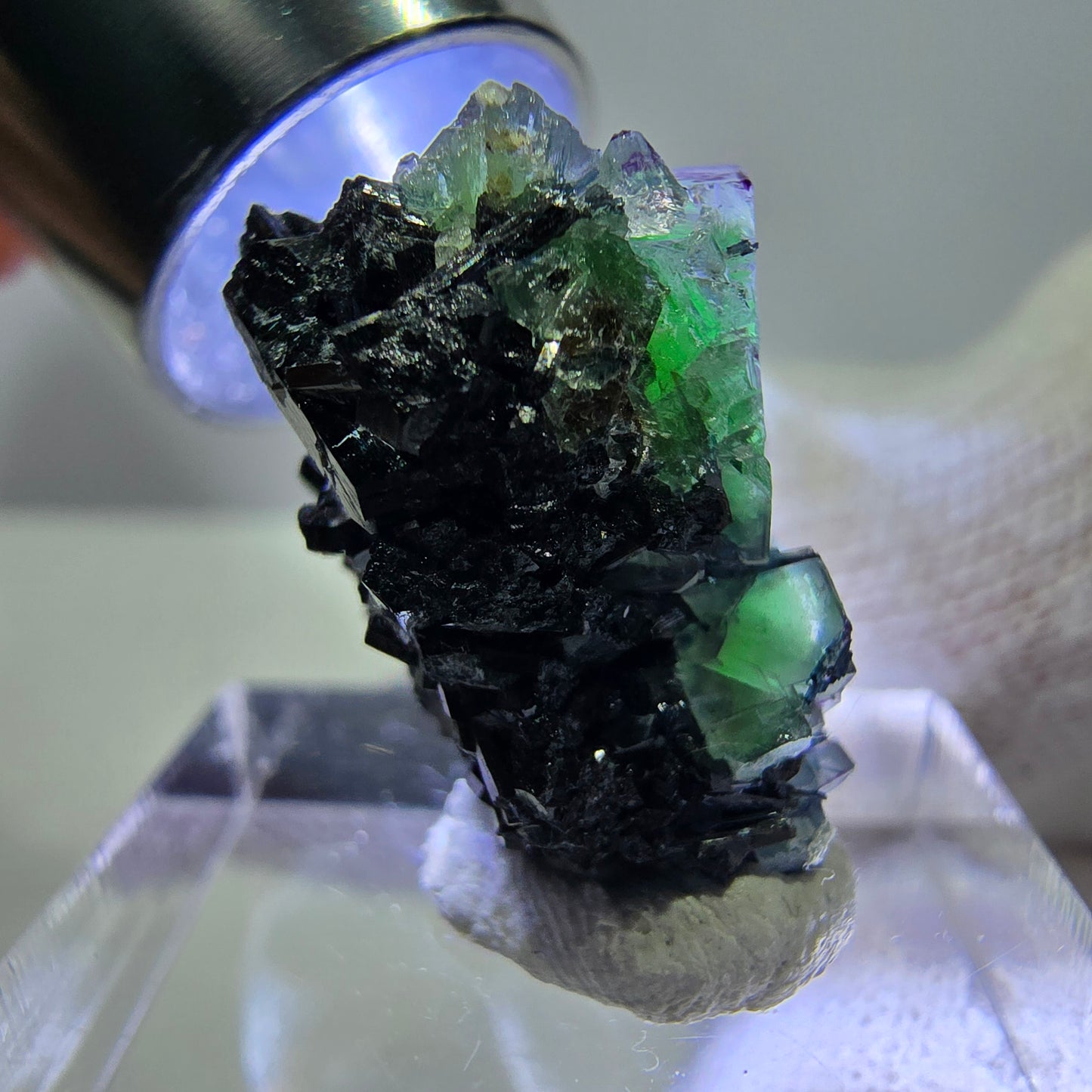 Cube de fluorite fantôme zonal, tourmaline muscovite Schörl hyalite Erongo, Namibie 21 x 15 x 15 mm