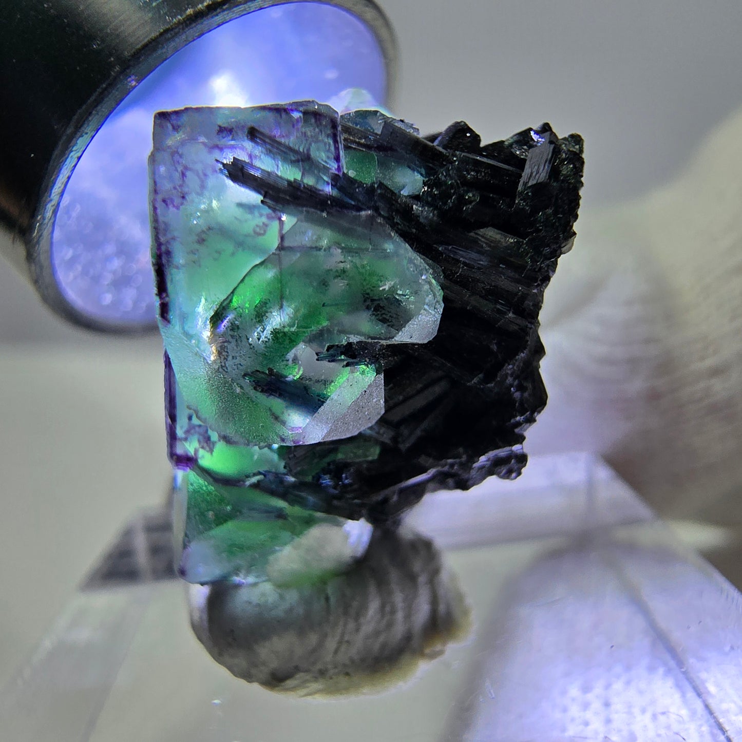 Cube de fluorite fantôme zonal, tourmaline muscovite Schörl hyalite Erongo, Namibie 21 x 15 x 15 mm