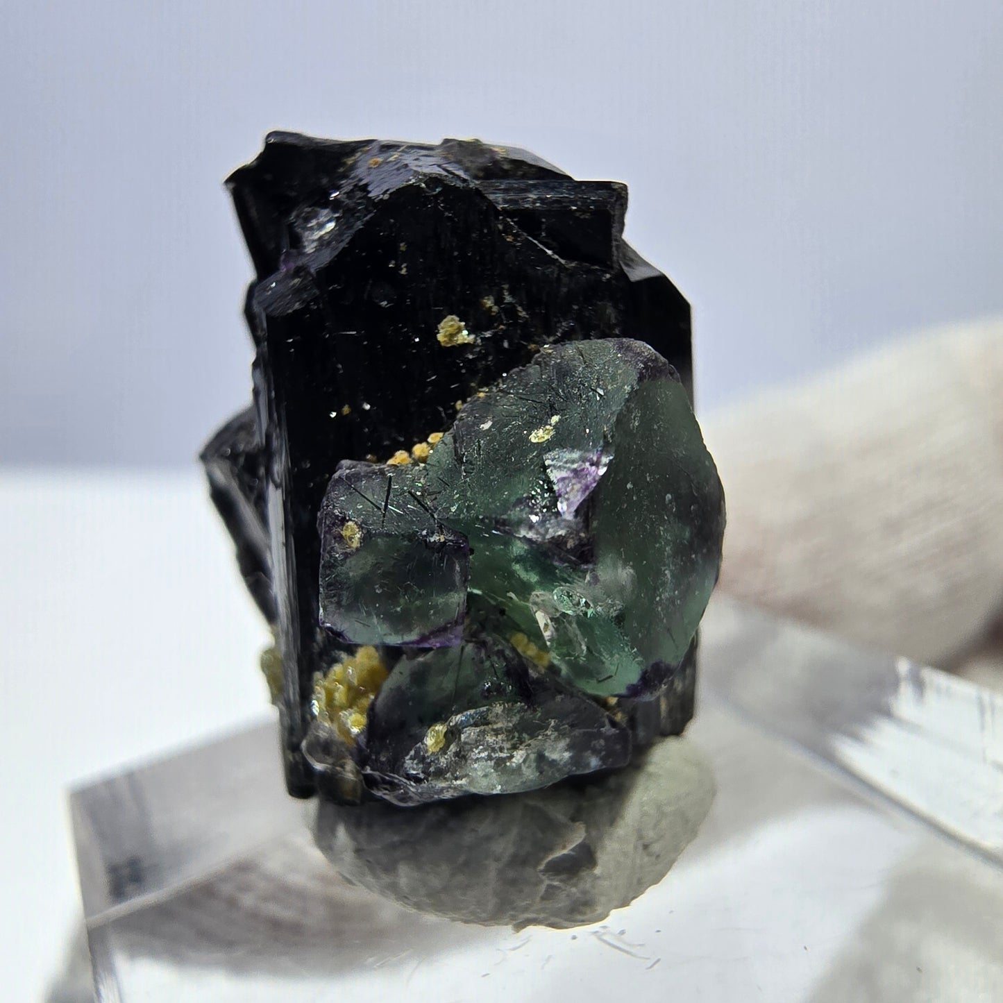 Spécimen de cube de fluorite fantôme zonal, de muscovite et de tourmaline Schorl, Erongo, Namibie, 20 x 19 x 13 mm