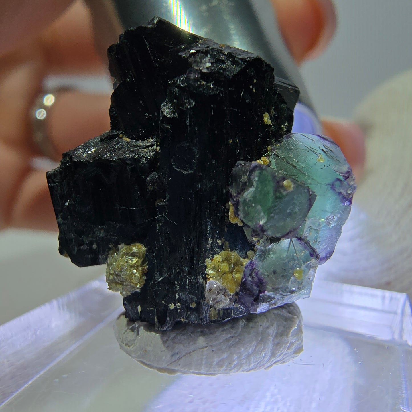 Spécimen de cube de fluorite fantôme zonal, de muscovite et de tourmaline Schorl, Erongo, Namibie, 20 x 19 x 13 mm