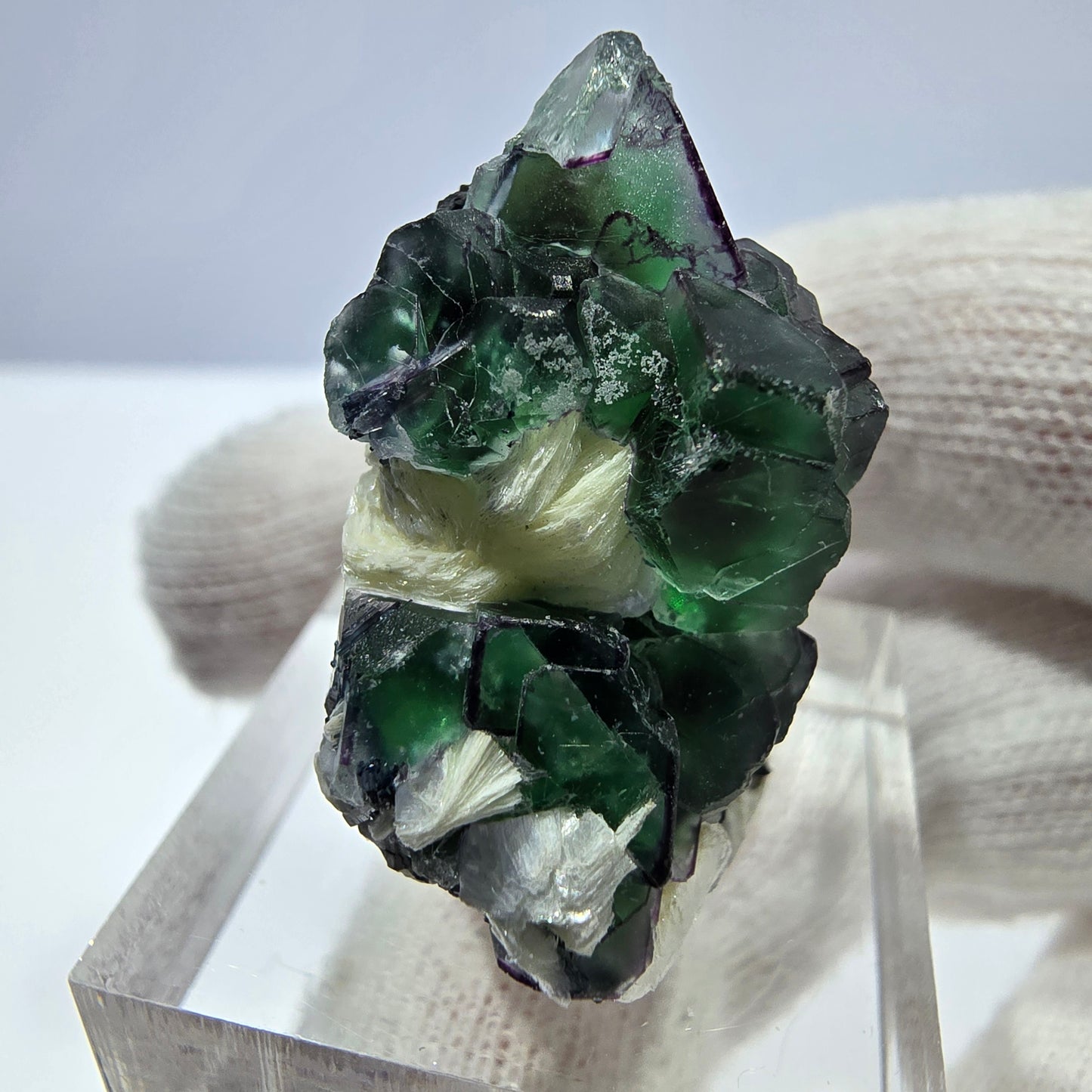 Fluorite fantôme zonale, muscovite, tourmaline Schörl, quartz fumé Erongo, Namibie 31*18*13mm