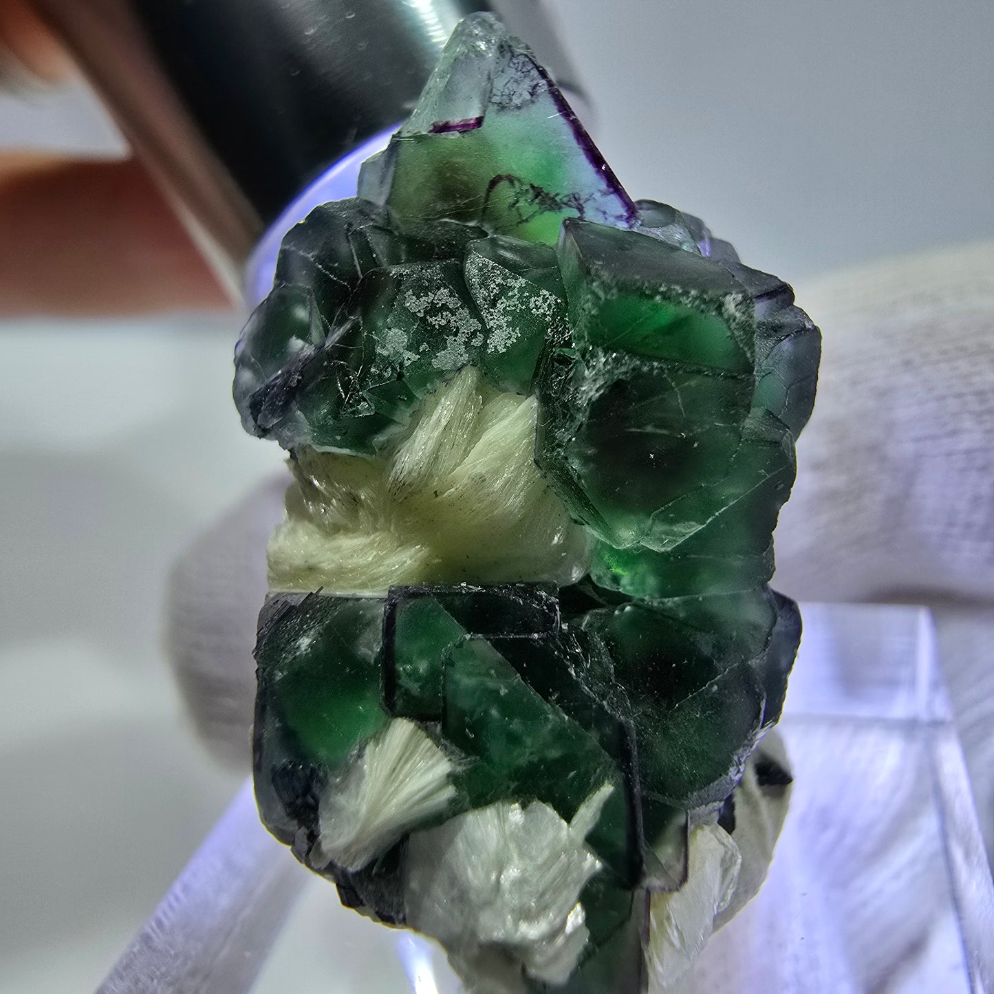 Fluorite fantôme zonale, muscovite, tourmaline Schörl, quartz fumé Erongo, Namibie 31*18*13mm