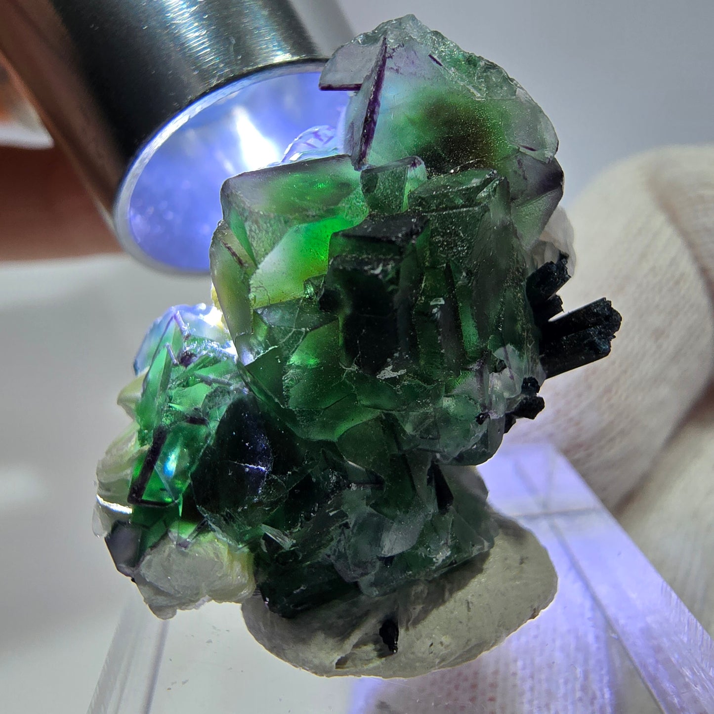Fluorite fantôme zonale, muscovite, tourmaline Schörl, quartz fumé Erongo, Namibie 31*18*13mm