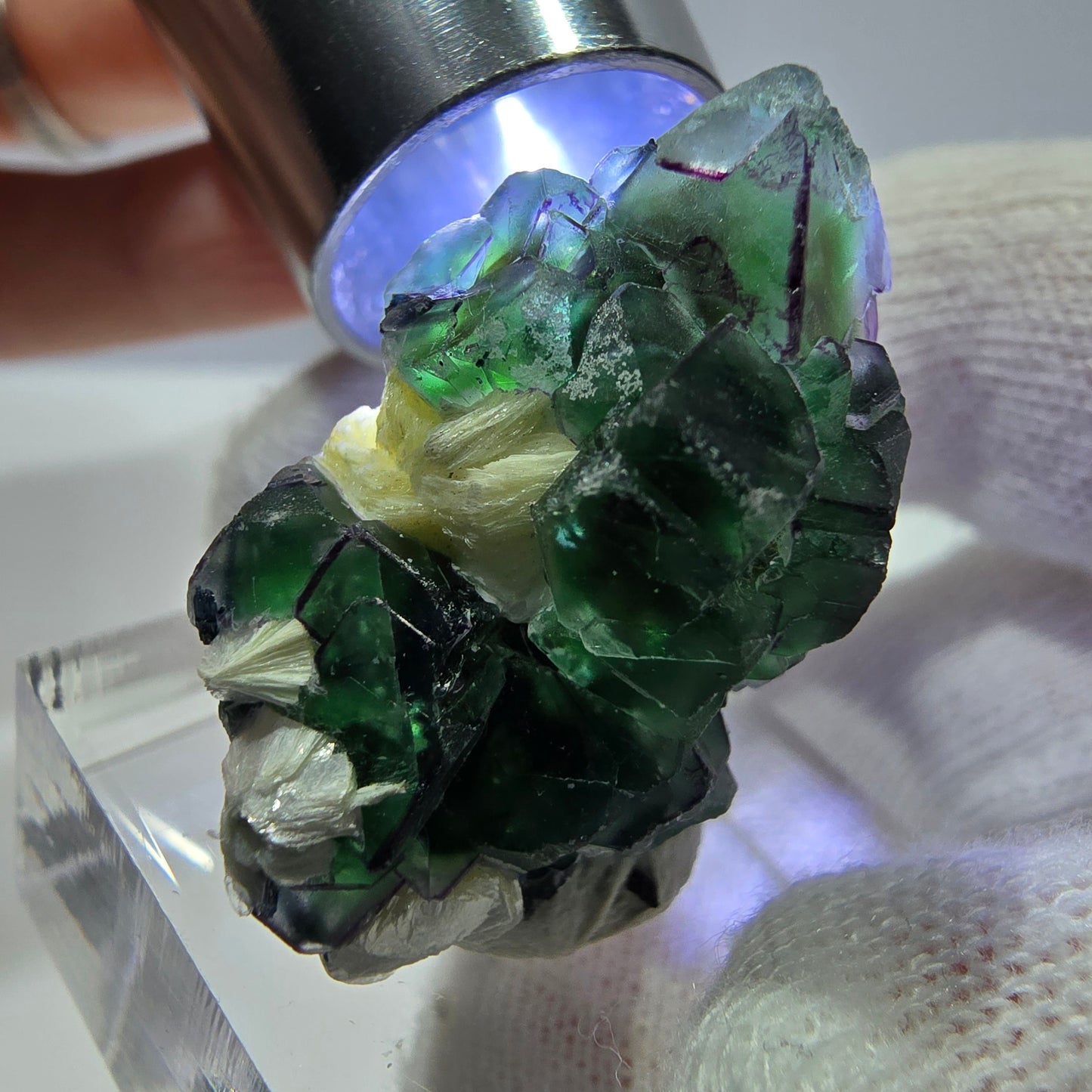 Fluorite fantôme zonale, muscovite, tourmaline Schörl, quartz fumé Erongo, Namibie 31*18*13mm