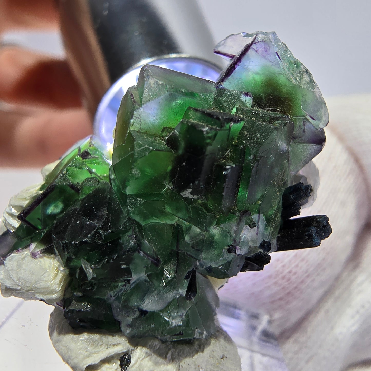 Fluorite fantôme zonale, muscovite, tourmaline Schörl, quartz fumé Erongo, Namibie 31*18*13mm