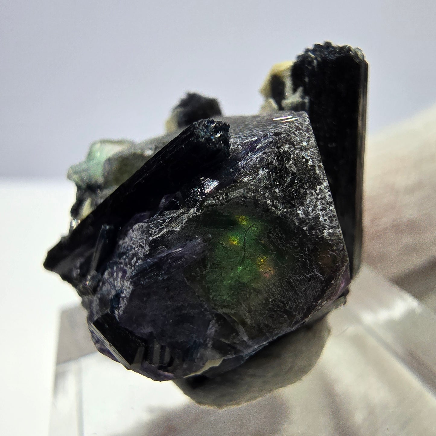 Spécimen de cube de fluorite fantôme zonal, de muscovite et de tourmaline Schorl, Erongo, Namibie, 25 x 20 x 18 mm