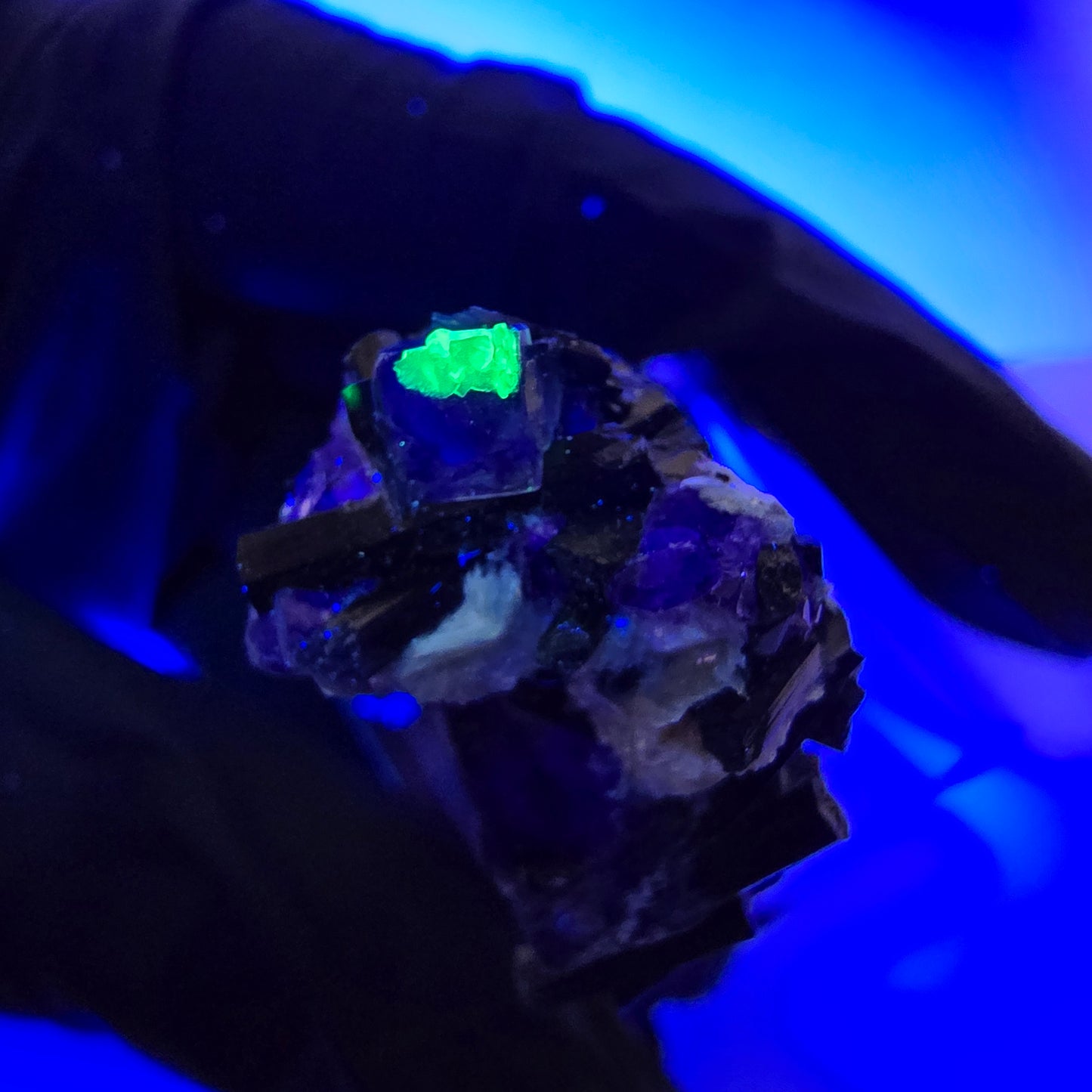 Cubes de fluorite fantôme colorés, tourmaline scholle muscovite hyalite, Erongo, Namibie, 36 x 24 x 15 mm