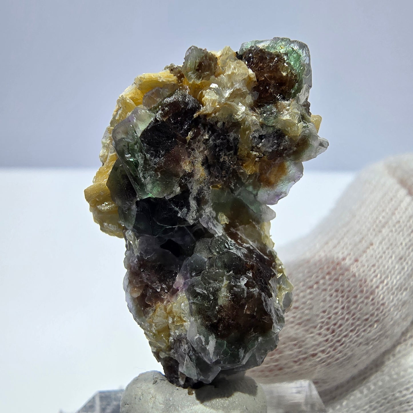 Cube de fluorite fantôme zonal, tourmaline muscovite Schörl hyalite Erongo, Namibie 39 x 24 x 12 mm