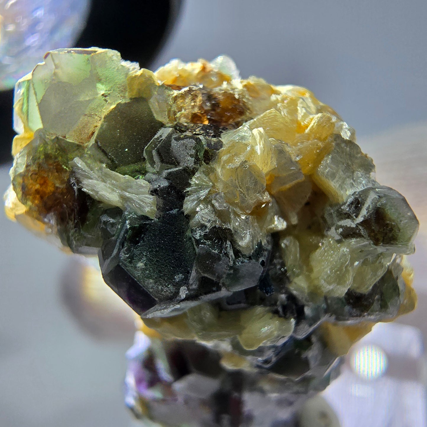 Cube de fluorite fantôme zonal, tourmaline muscovite Schörl hyalite Erongo, Namibie 39 x 24 x 12 mm