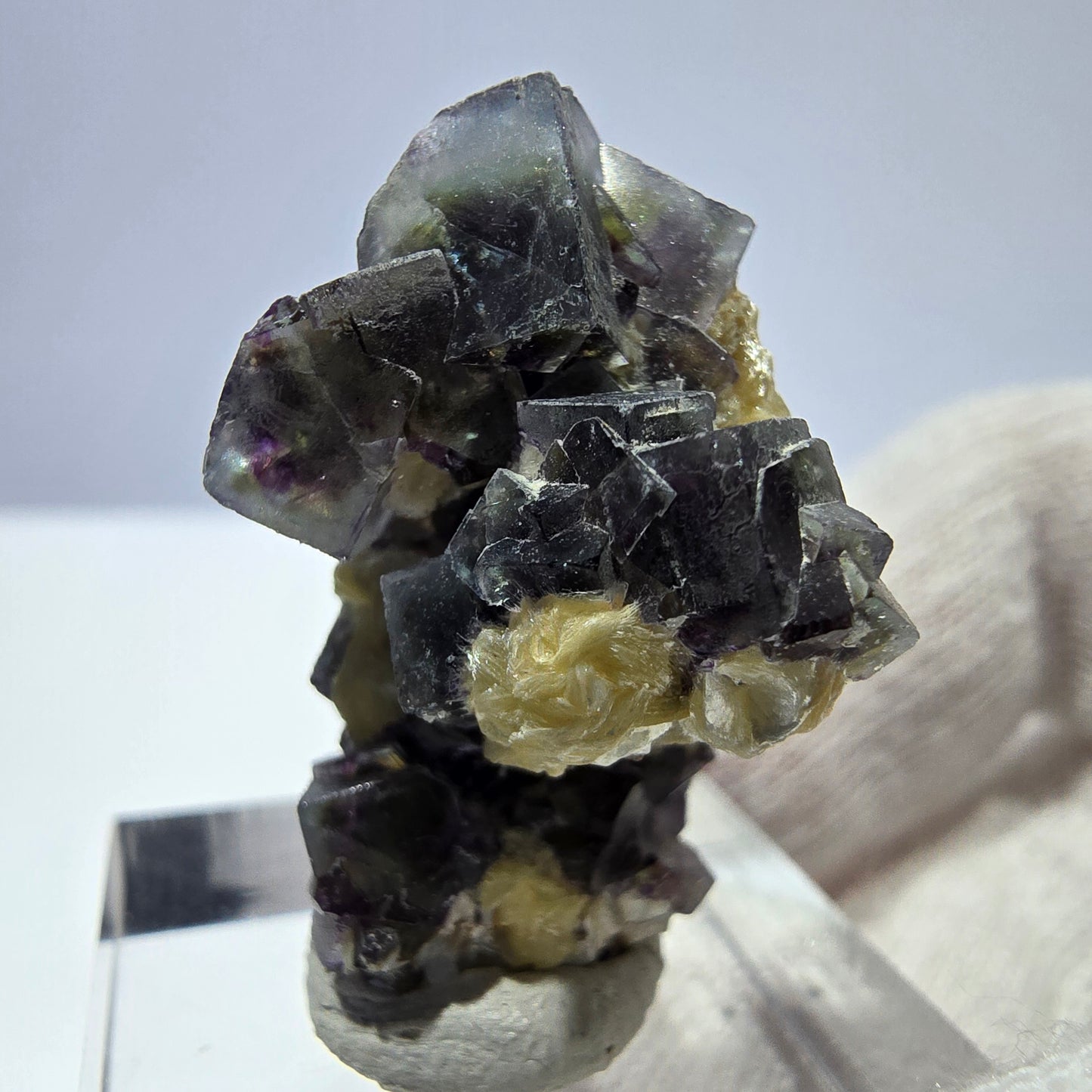 Cubes de fluorite fantôme colorés, spécimen de muscovite, Erongo, Namibie, 28 x 20 x 20 mm