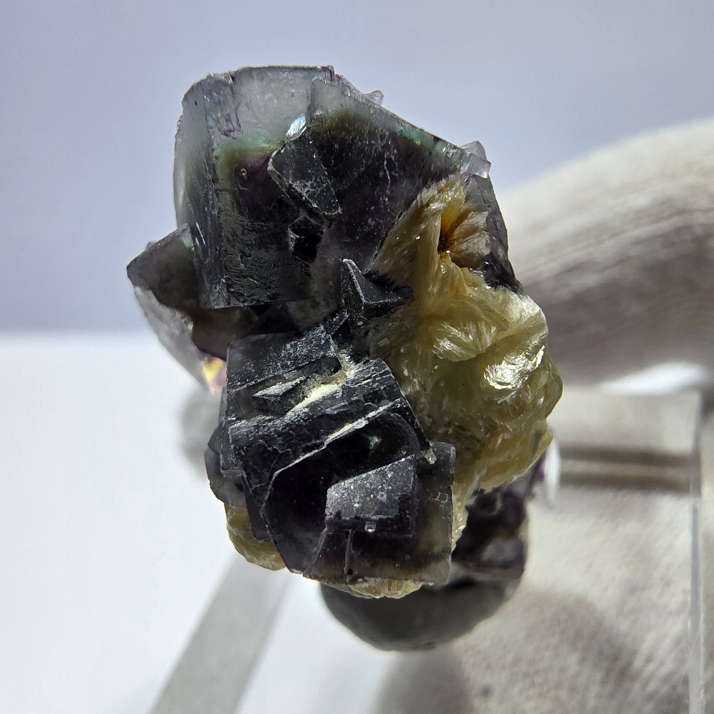 Cubes de fluorite fantôme colorés, spécimen de muscovite, Erongo, Namibie, 28 x 20 x 20 mm