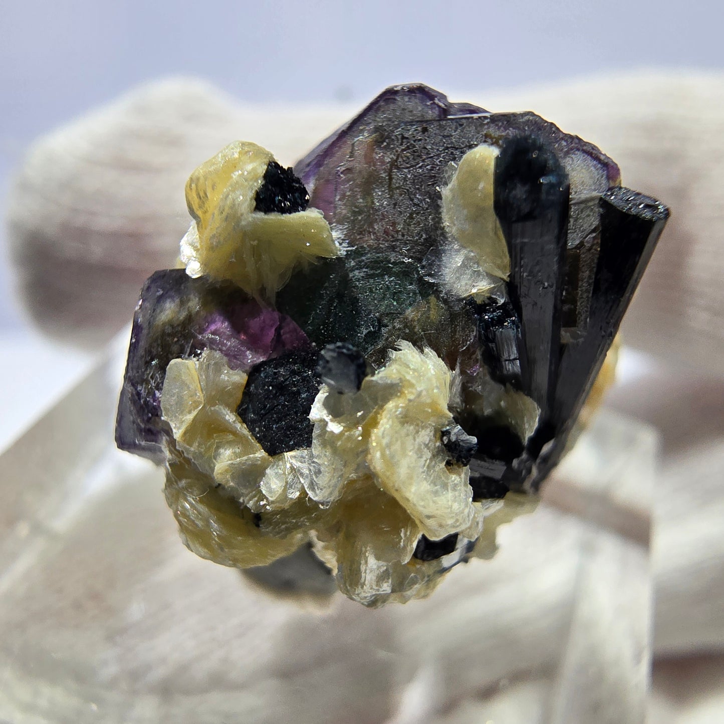 Fluorite fantôme colorée, Spécimen de tourmaline muscovite Schorl, Erongo, Namibie, 23 x 18 x 15 mm