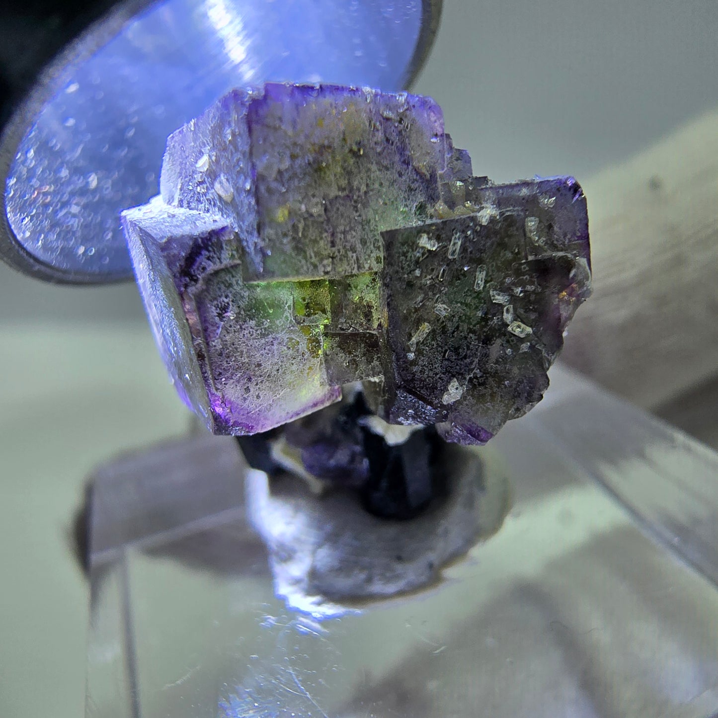 Fluorite fantôme colorée, Spécimen de tourmaline muscovite Schorl, Erongo, Namibie, 20 x 16 x 16 mm