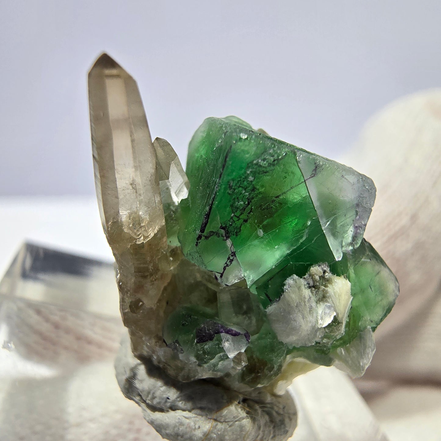 Cube de fluorite fantôme zonal, quartz fumé, spécimen de muscovite, Erongo, Namibie, 19 x 15 x 12 mm