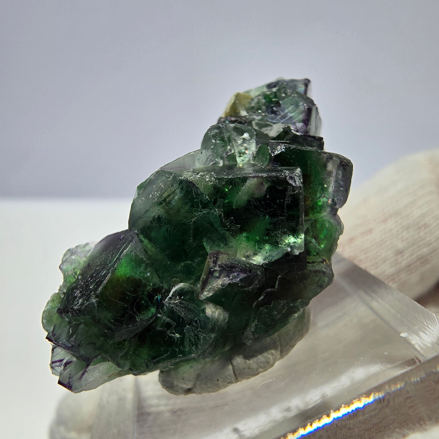 Fluorite fantôme, quartz fumé, hyalite, tourmaline de Schörl, muscovite, Erongo, Namibie, 37 x 18 x 18 mm