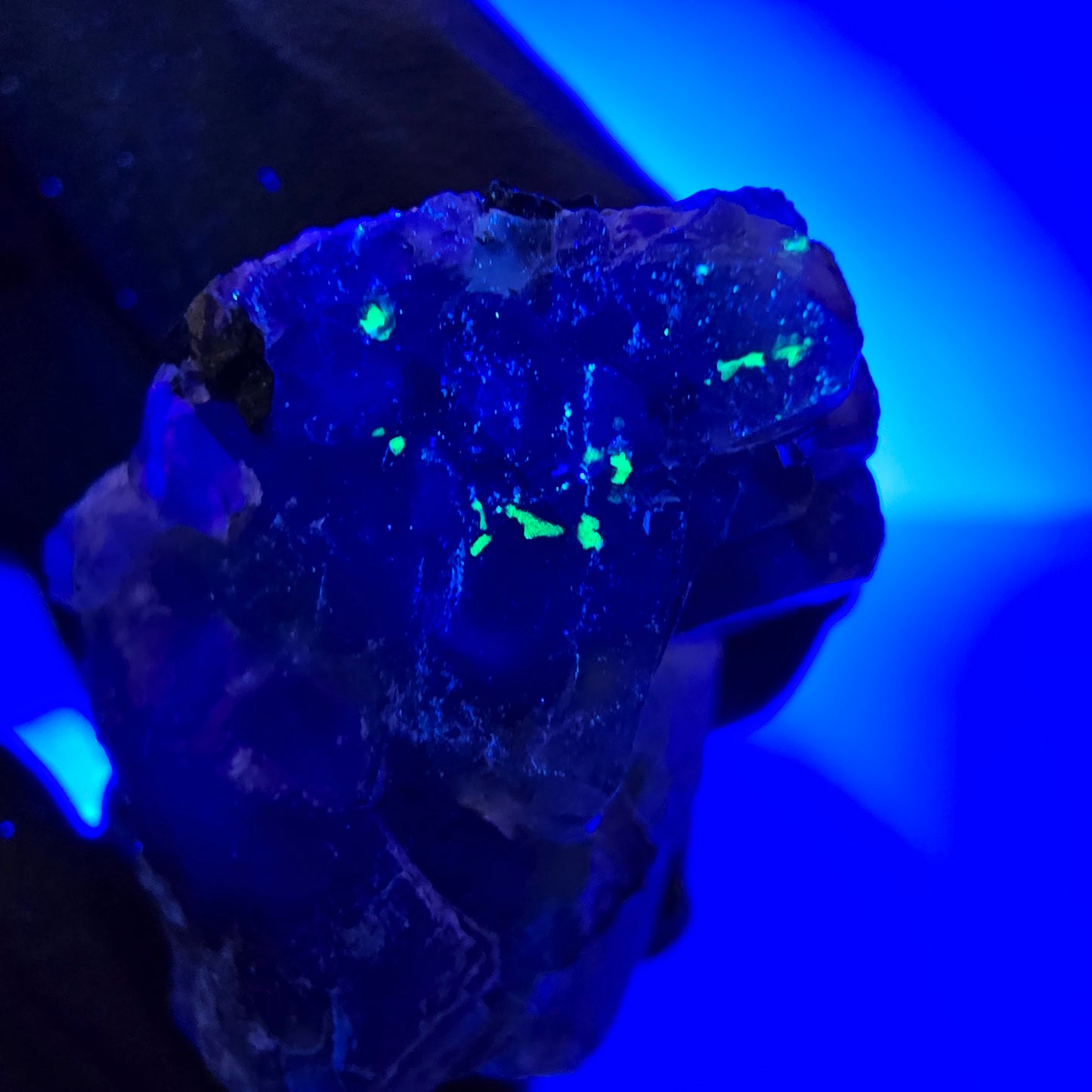 Fluorite fantôme, quartz fumé, hyalite, tourmaline de Schörl, muscovite, Erongo, Namibie, 37 x 18 x 18 mm