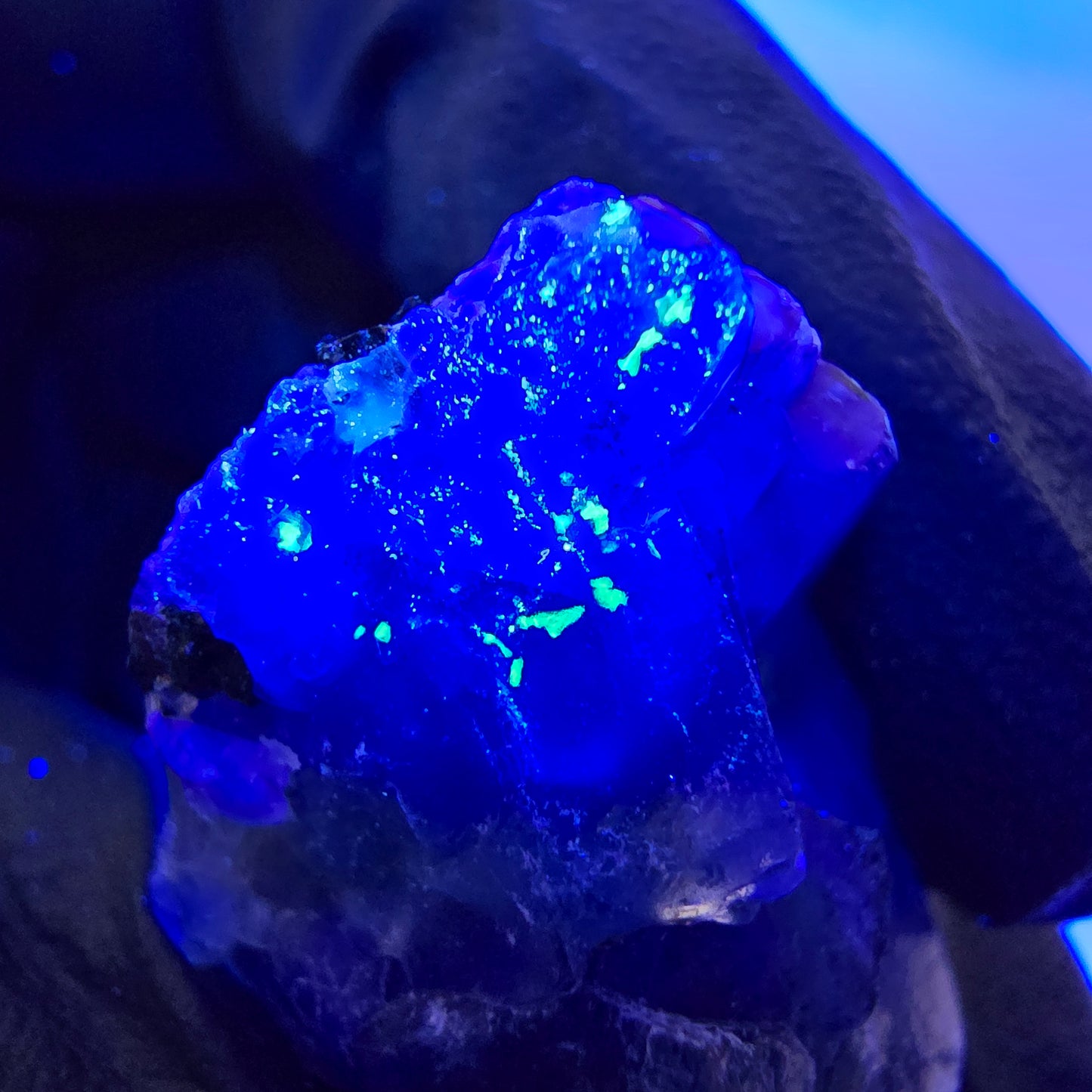Fluorite fantôme, quartz fumé, hyalite, tourmaline de Schörl, muscovite, Erongo, Namibie, 37 x 18 x 18 mm