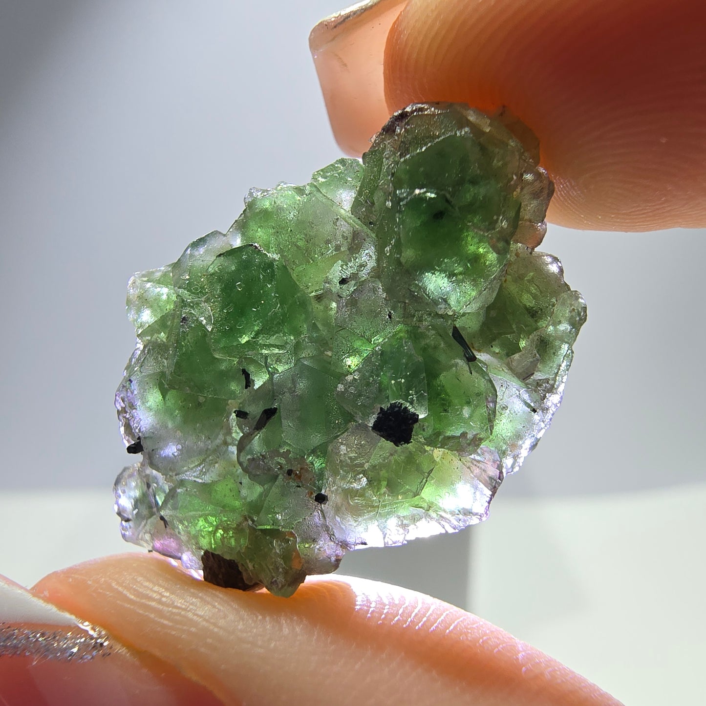 Lot de 16 Fluorite Fantôme, Hyalite Tourmaline Schörl Moscovite Steps Erongo, Namibie