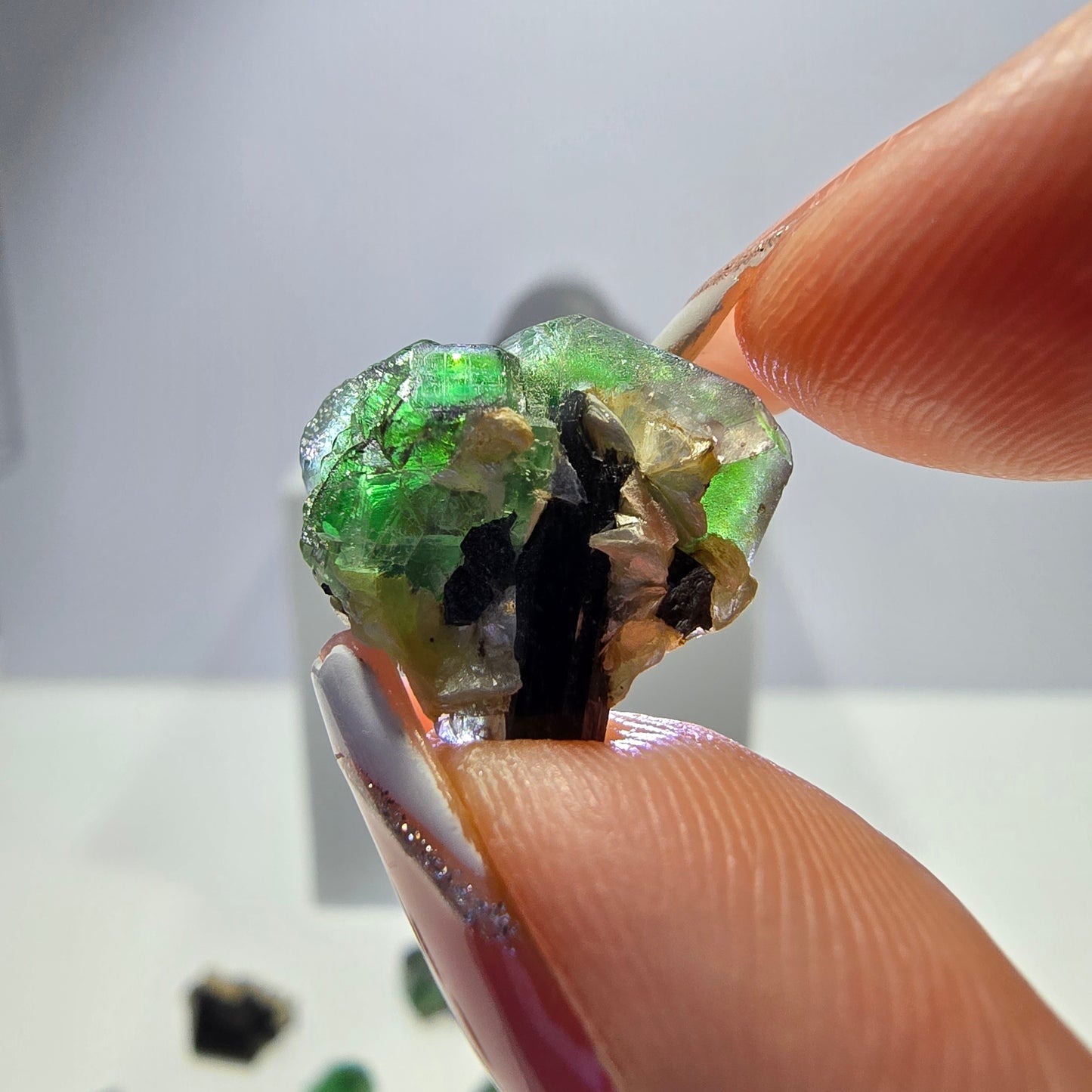 Lot de 16 fluorites fantômes, hyalites, tourmalines Schörl, muscovites, Erongo, Namibie