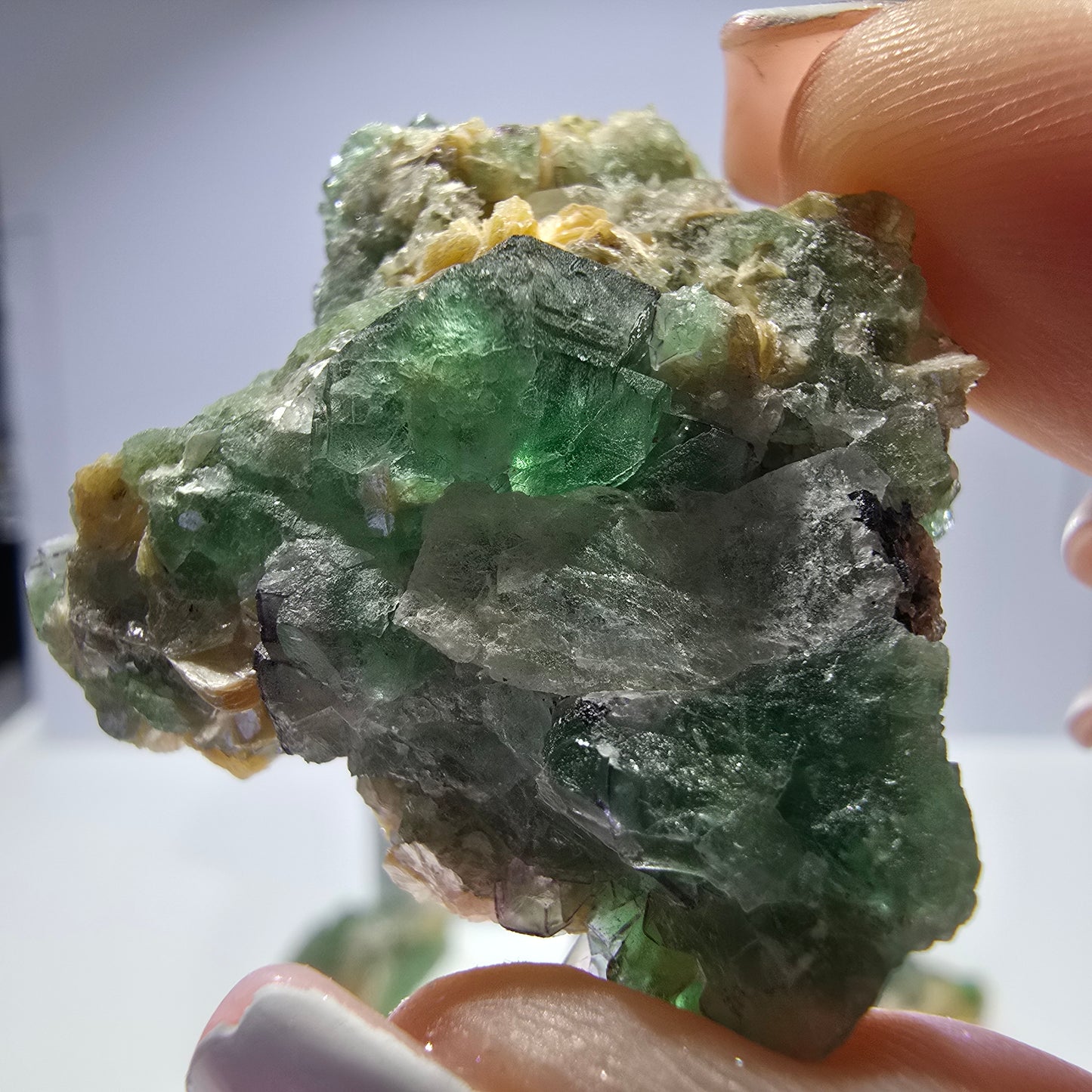 Lot de 16 tourmalines Schörl, fluorite fantôme, hyalite, stade muscovite, Erongo, Namibie