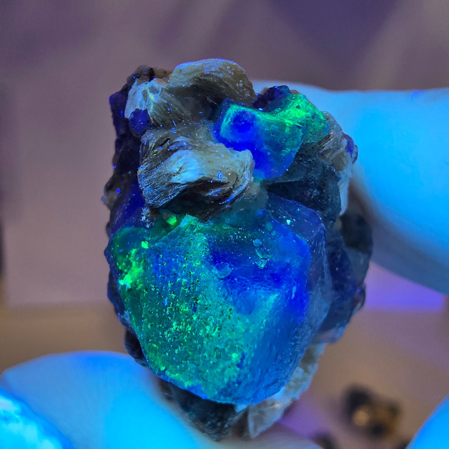 Lot de 16 tourmalines Schörl, fluorite fantôme, hyalite, stade muscovite, Erongo, Namibie