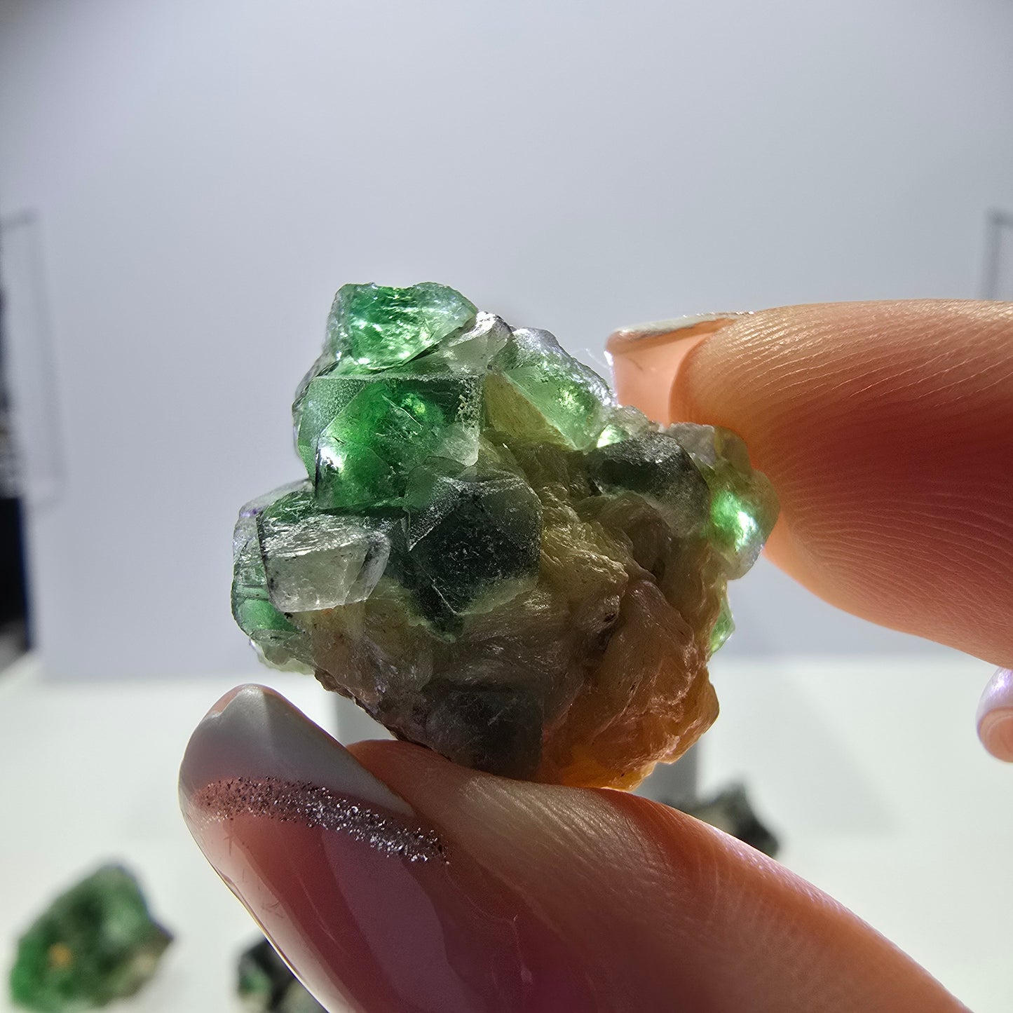 Lot de 16 fluorites fantômes, hyalites, tourmalines Schörl, muscovites, Erongo, Namibie