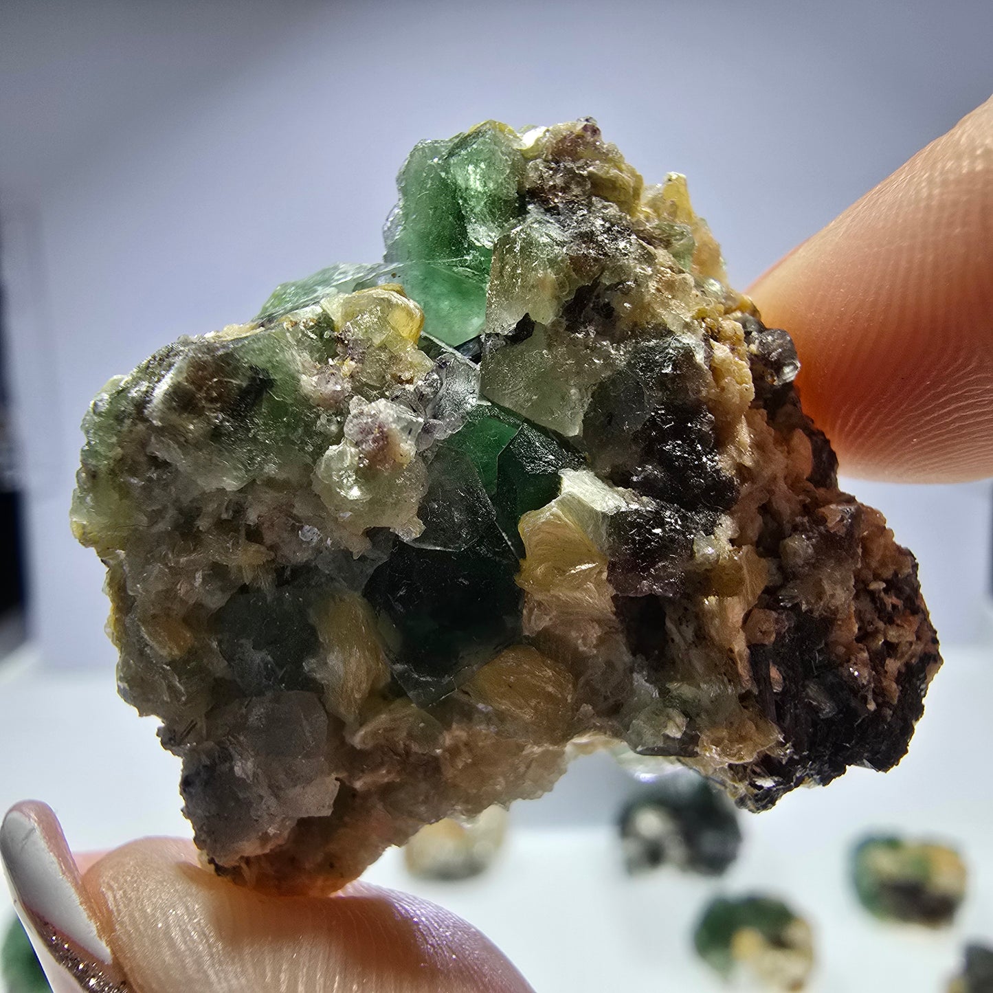 Lot de 16 fluorites fantômes, hyalites, tourmalines Schörl, muscovites, Erongo, Namibie