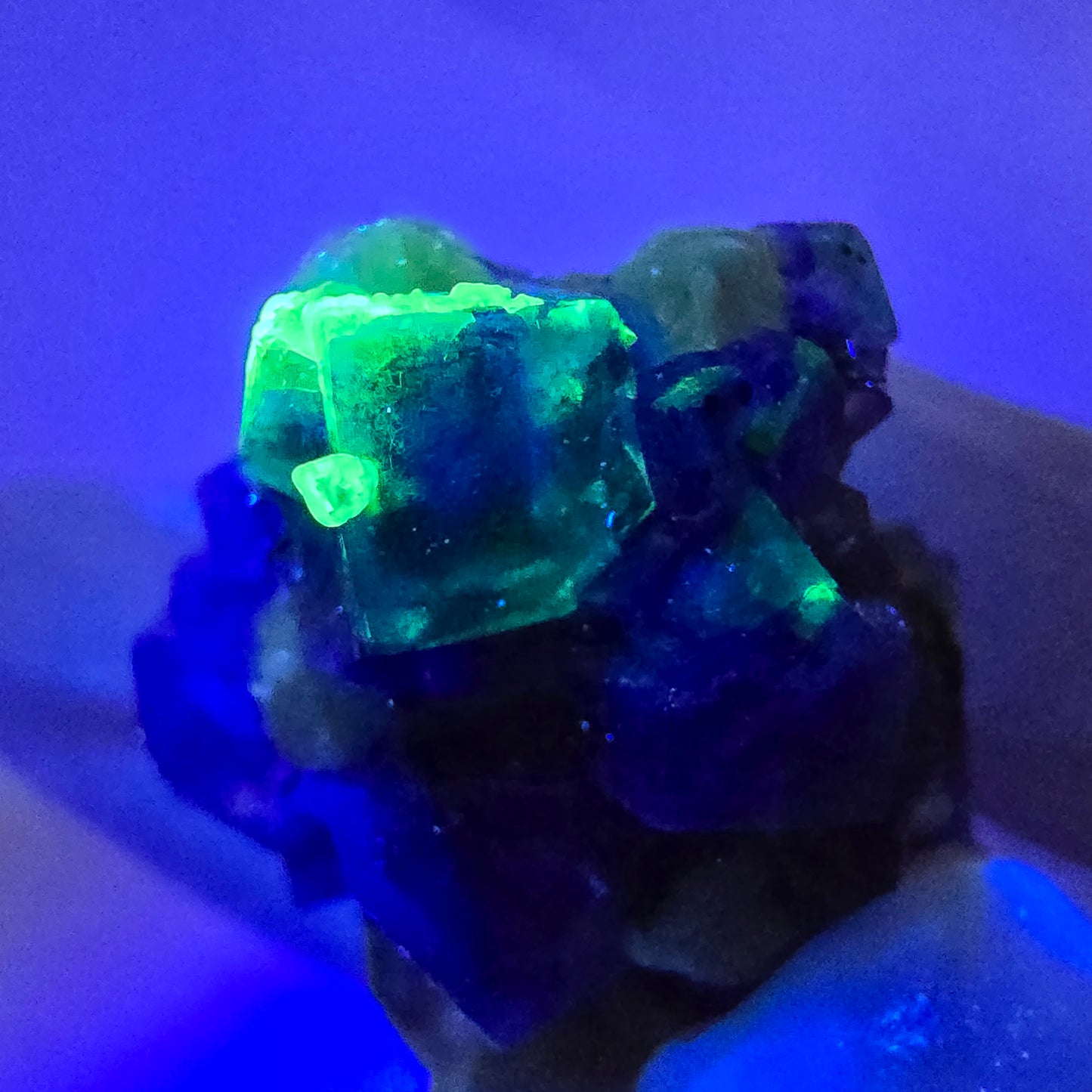Cubes de fluorite fantôme colorés, muscovite, tourmaline Schorl, hyalite d'Erongo, Namibie 31 x 21 x 24 mm