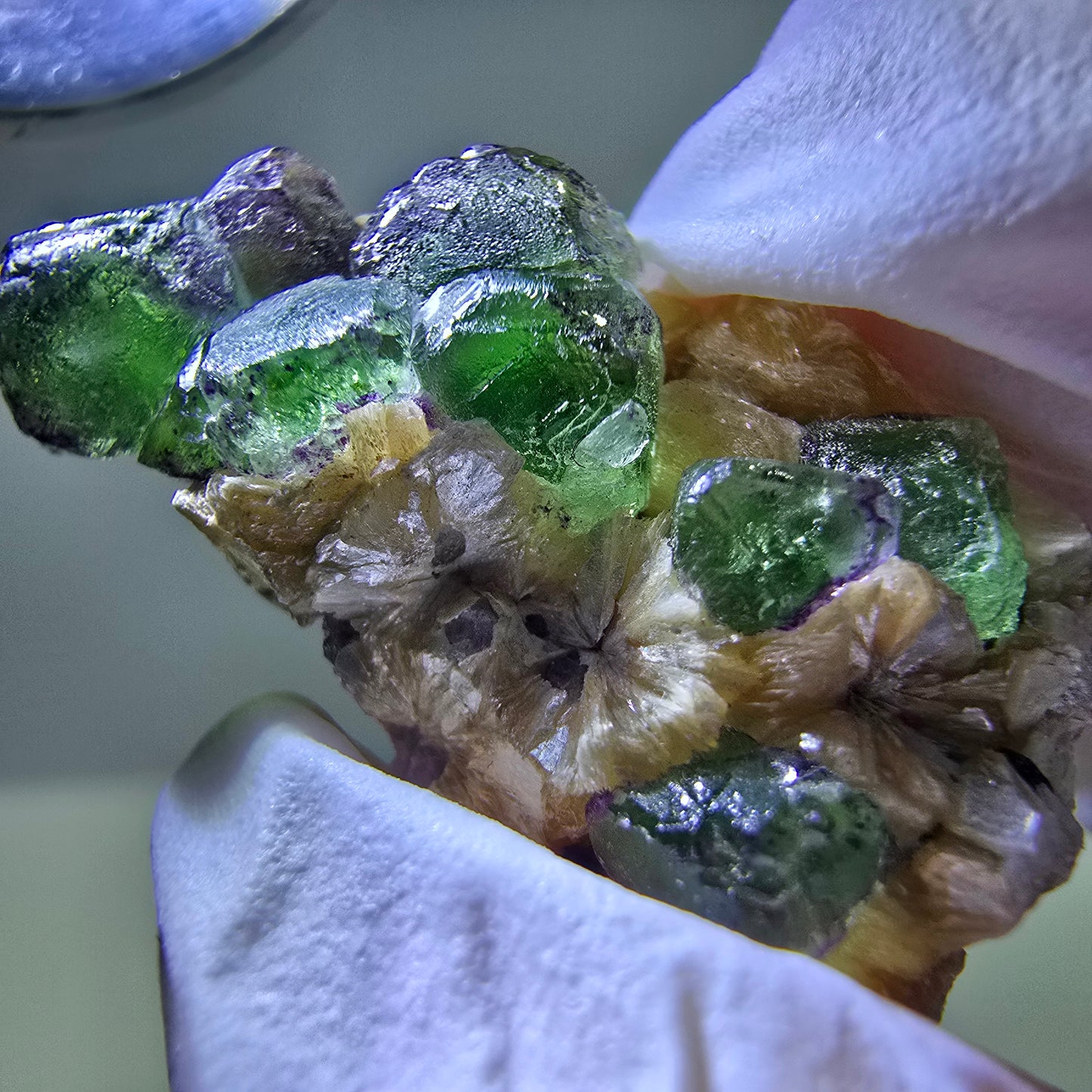 Cube de fluorite fantôme, zonal, spécimen de muscovite, Erongo, Namibie, 28 x 16 x 1 mm
