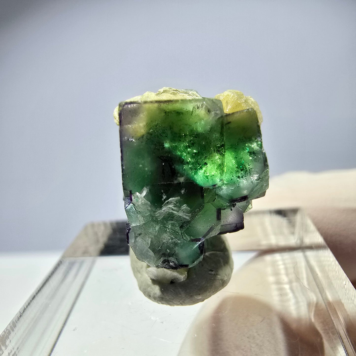 Cube de fluorite fantôme, zonal, spécimen de muscovite, Erongo, Namibie, 17 x 12 x 11 mm