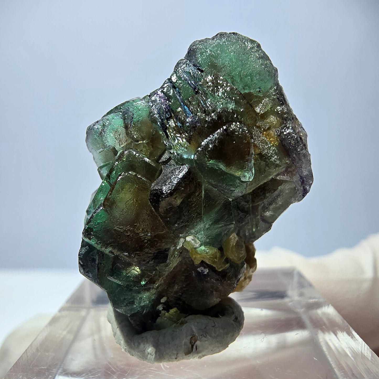 Cube de fluorite fantôme, spécimen de muscovite, Erongo, Namibie, 27 x 20 x 18 mm