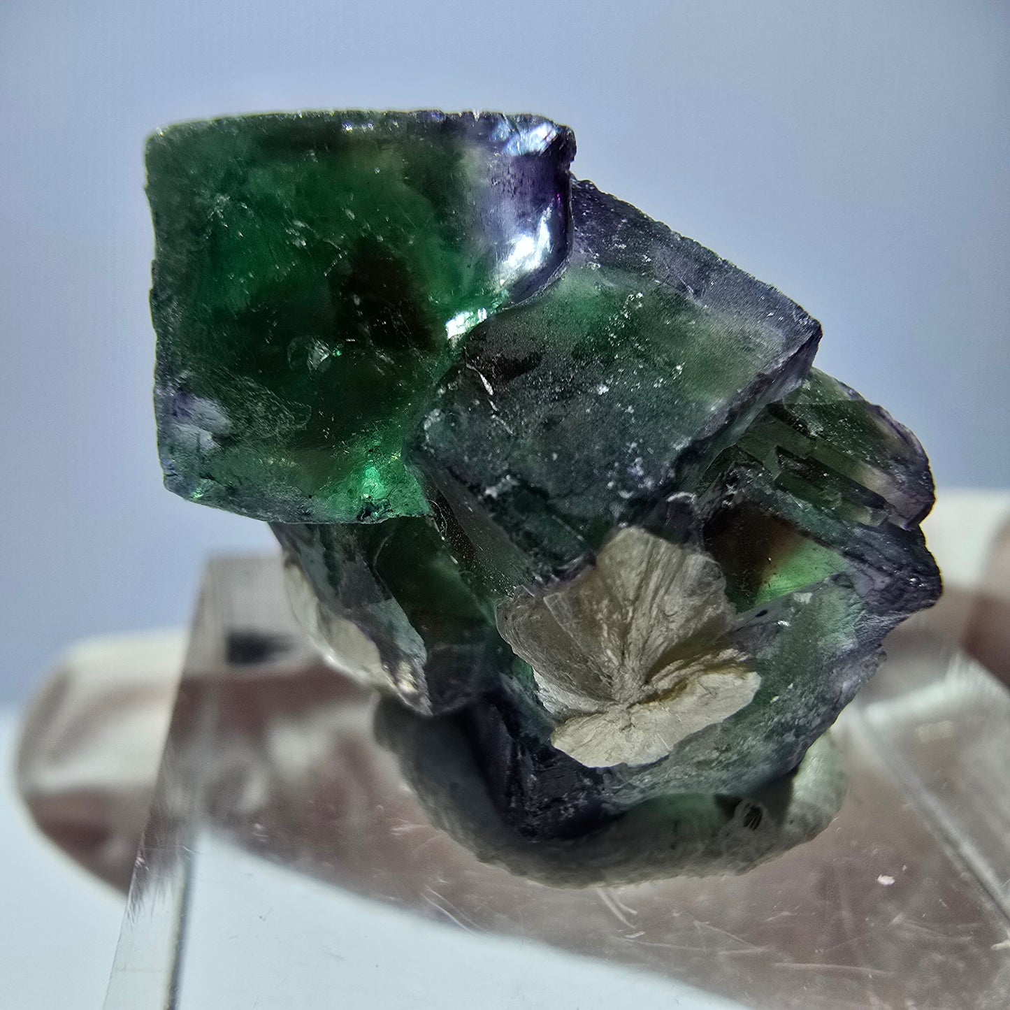 Cube de fluorite fantôme, zonal, spécimen de muscovite, Erongo, Namibie, 24 x 14 x 13 mm