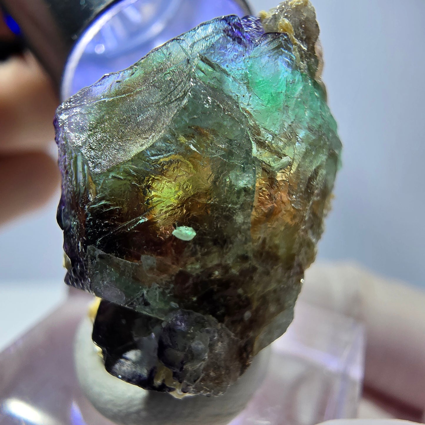 Cube hexagonal de fluorite fantôme, muscovite, tourmaline Schörl, Erongo, Namibie 27 x 20 x 18 mm