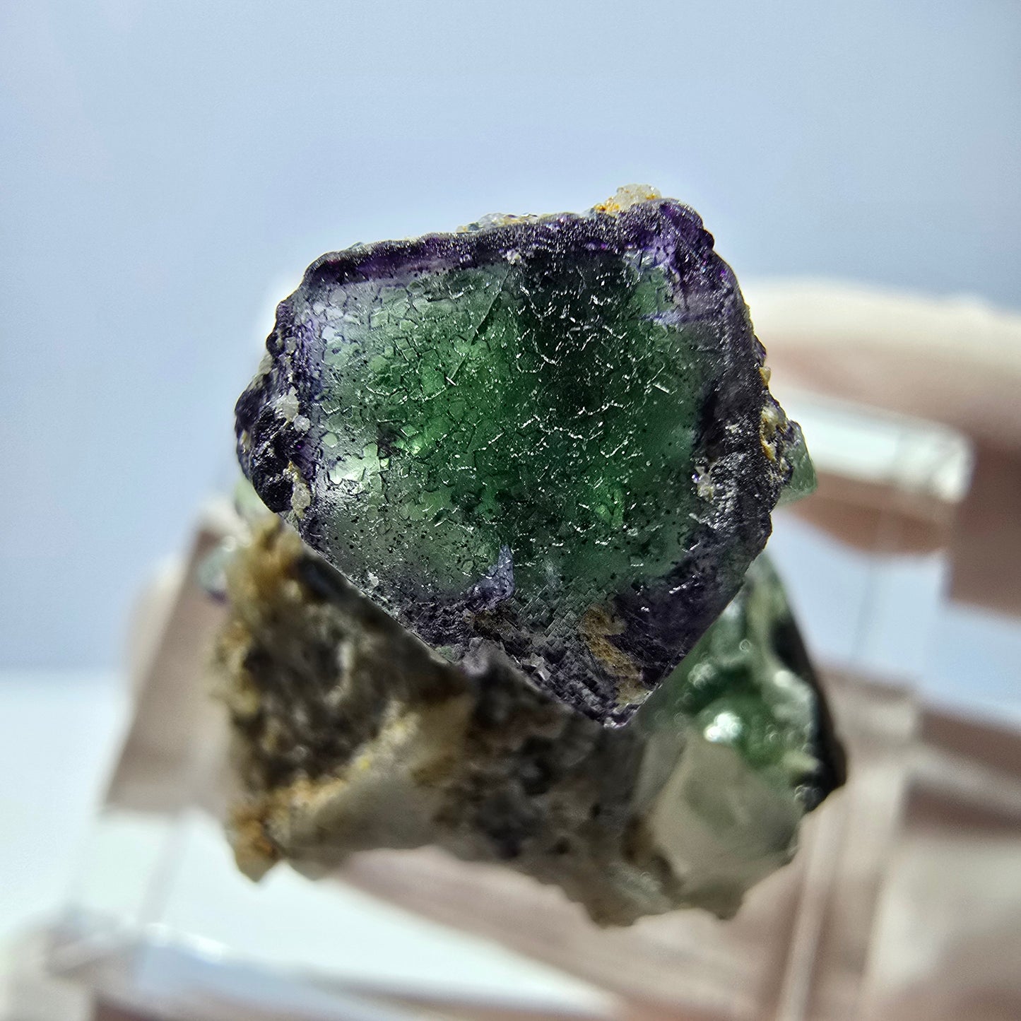 Cube de fluorite fantôme, zonal, muscovite, spécimen de tourmaline Schorl, Erongo, Namibie, 24 x 17 x 13 mm