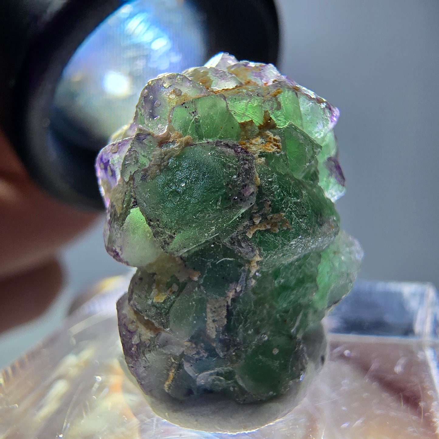 Cube de fluorite fantôme, zonal, spécimen de tourmaline Schorl, Erongo, Namibie, 18 x 15 x 15 mm