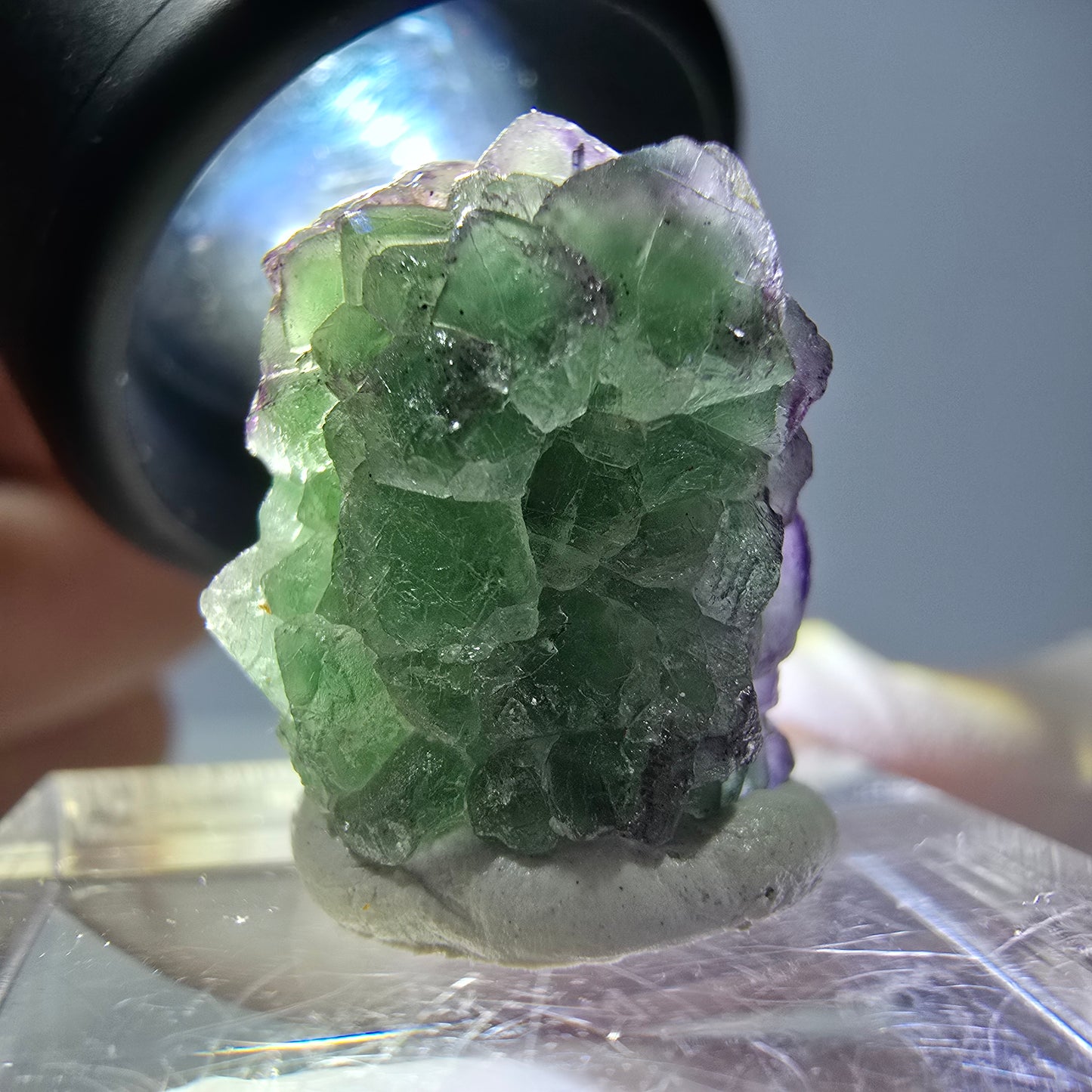 Cube de fluorite fantôme, zonal, spécimen de tourmaline Schorl, Erongo, Namibie, 18 x 15 x 15 mm