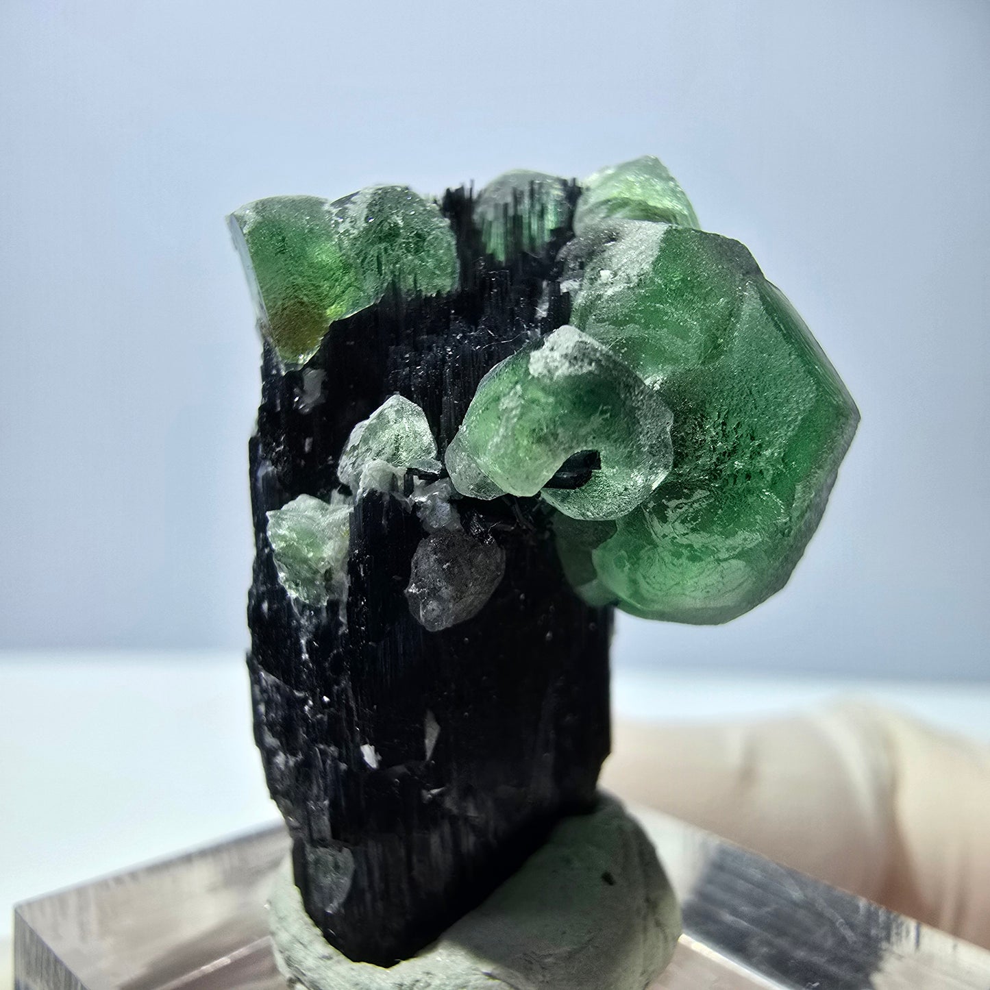 Cube de fluorite fantôme hexagonal, muscovite, tourmaline Schörl Erongo, Namibie 29*21*21mm