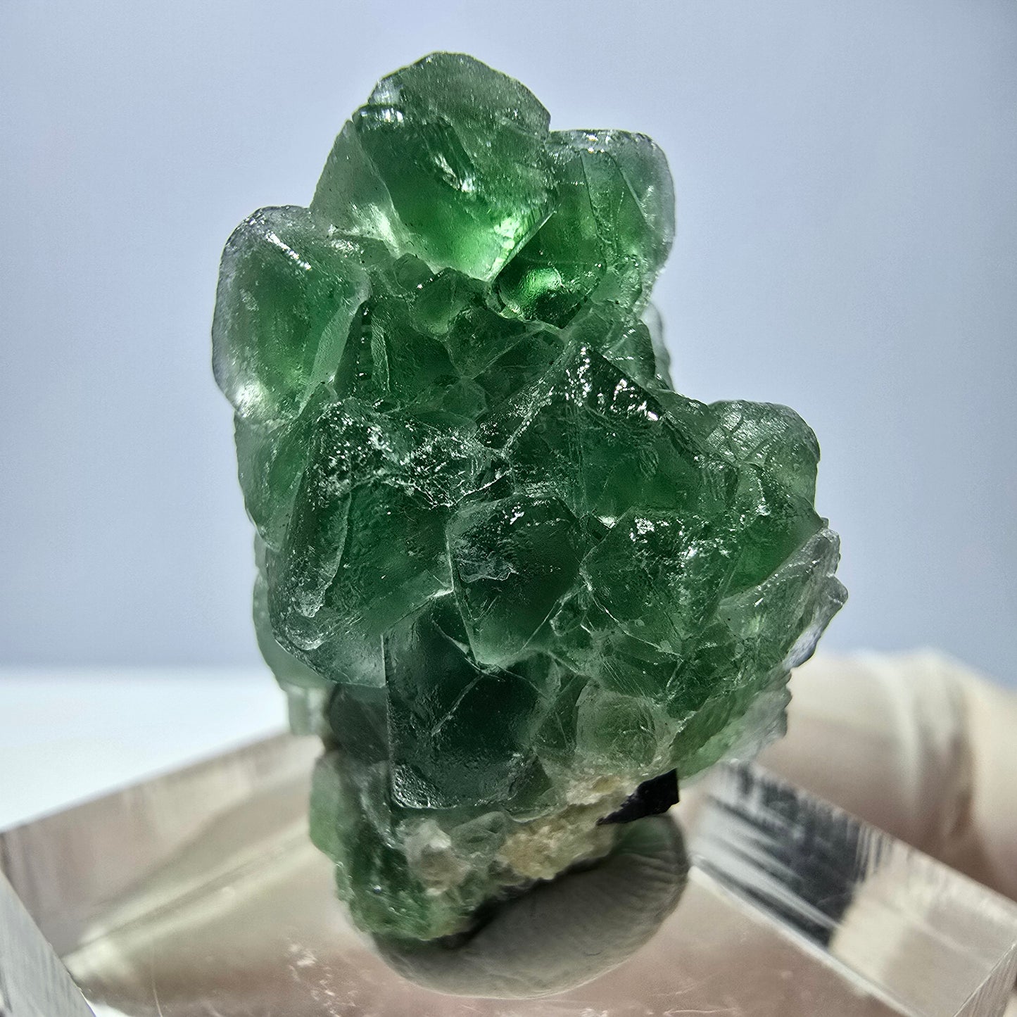 Cube de fluorite fantôme, muscovite et tourmaline Schorl, spécimen d'Erongo, Namibie, 29 x 19 x 17 mm