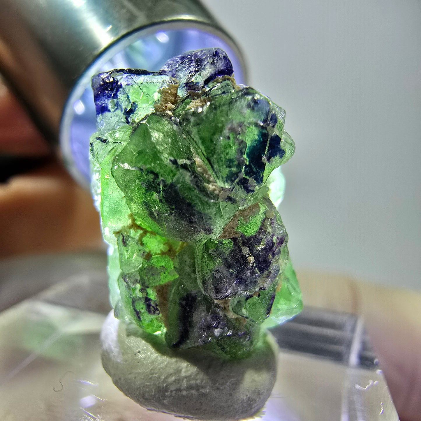 Cube de fluorite fantôme, zonal, spécimen de tourmaline Schorl, Erongo, Namibie, 18 x 12 x 12 mm