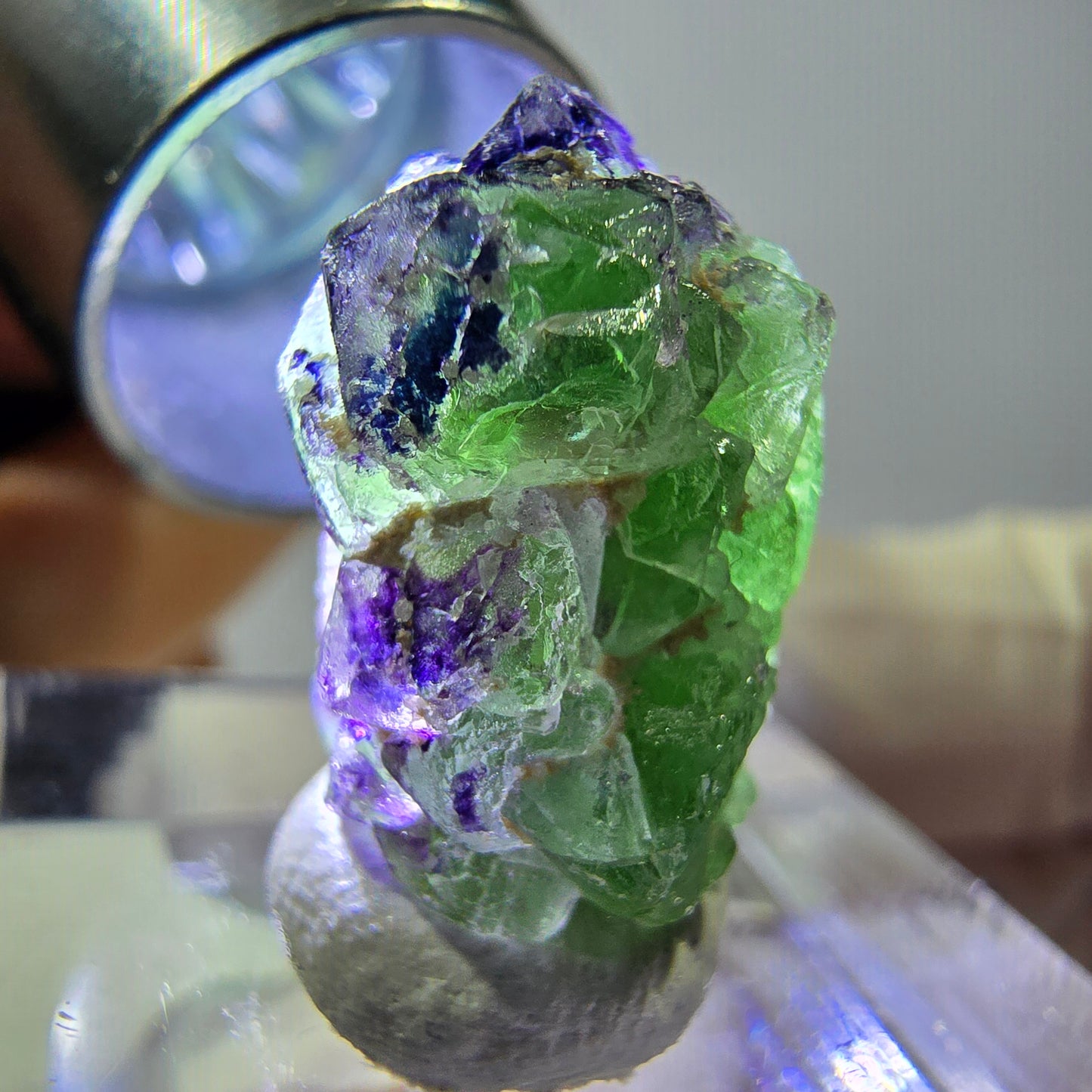 Cube de fluorite fantôme, zonal, spécimen de tourmaline Schorl, Erongo, Namibie, 18 x 12 x 12 mm