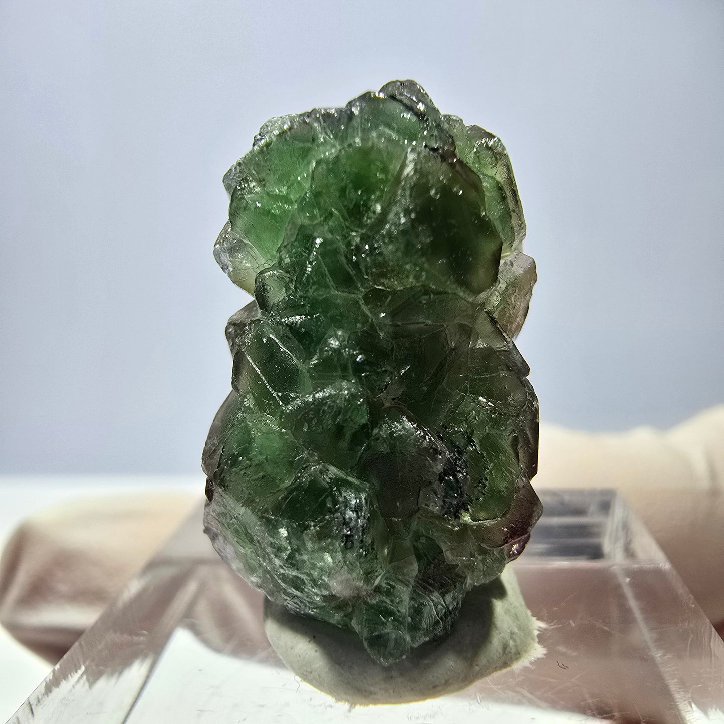Cube de fluorite fantôme, zonal, spécimen de tourmaline Schorl, Erongo, Namibie, 23 x 15 x 14 mm