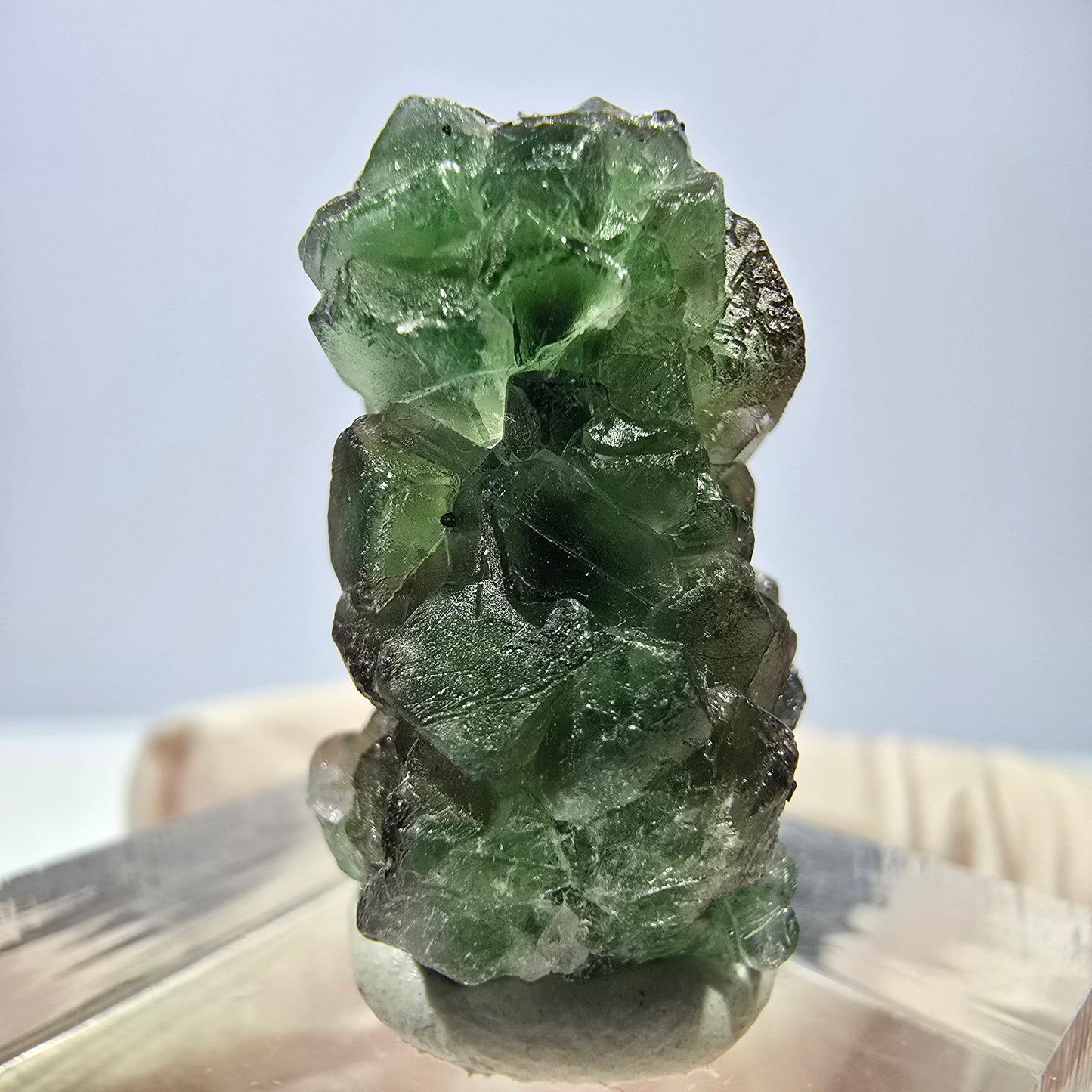 Cube de fluorite fantôme, zonal, spécimen de tourmaline Schorl, Erongo, Namibie, 23 x 15 x 14 mm