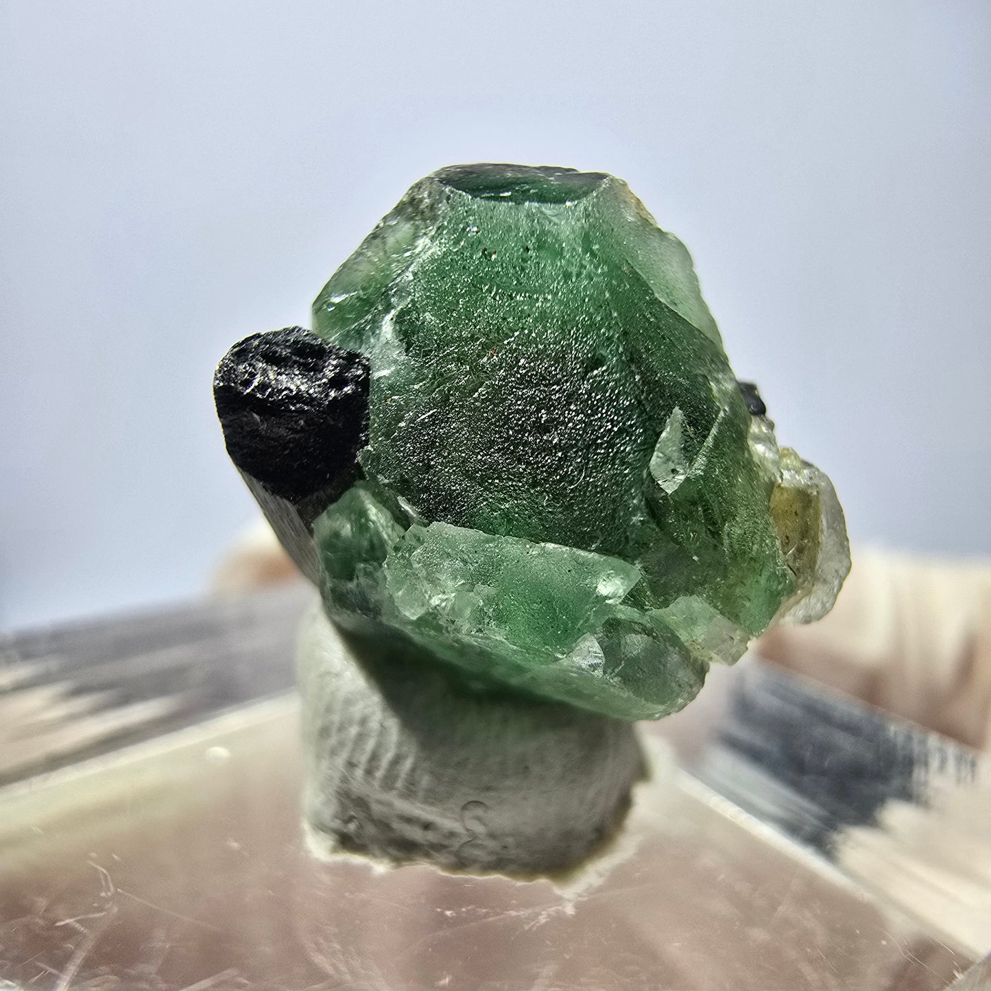 Cube hexagonal de fluorite fantôme, muscovite, tourmaline Schörl, Erongo, Namibie 14 x 13 x 12 mm